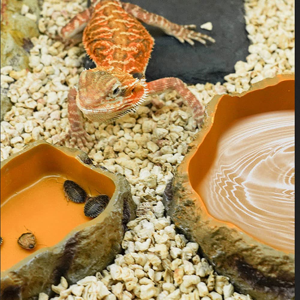 Reptielen