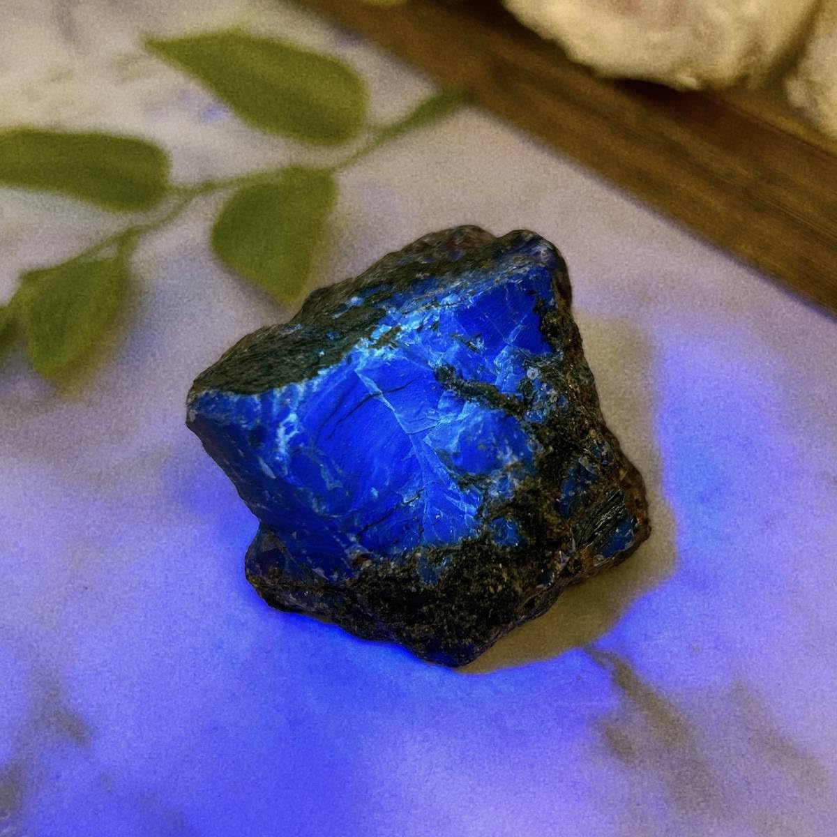 琥珀の特徴を持つ石に見える物体　川揚がり Amazon | 【N2 stone Natural】
