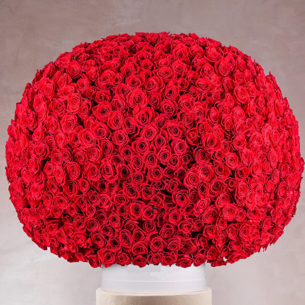 EG2i Beautiful Fresh 1000 Red Rose Flower Floral Bouquet With Gift Wrapping | Special Bunch Happy Birthday Gift | Couple Gift for Wedding, Valentine’s Day, Mothers Day| Real Flowers| Same Day Delivery