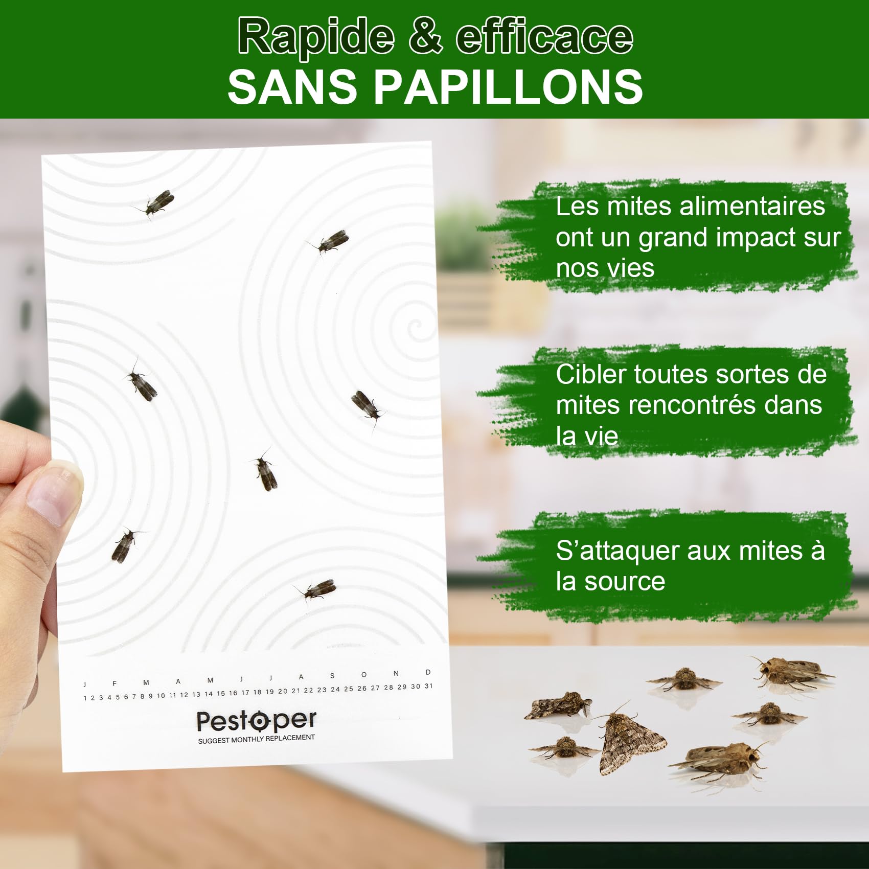 Anti Mites Alimentaires 12 Pièces Piège Alimentaire avec Attrait pour Cuisine Garde-Manger
