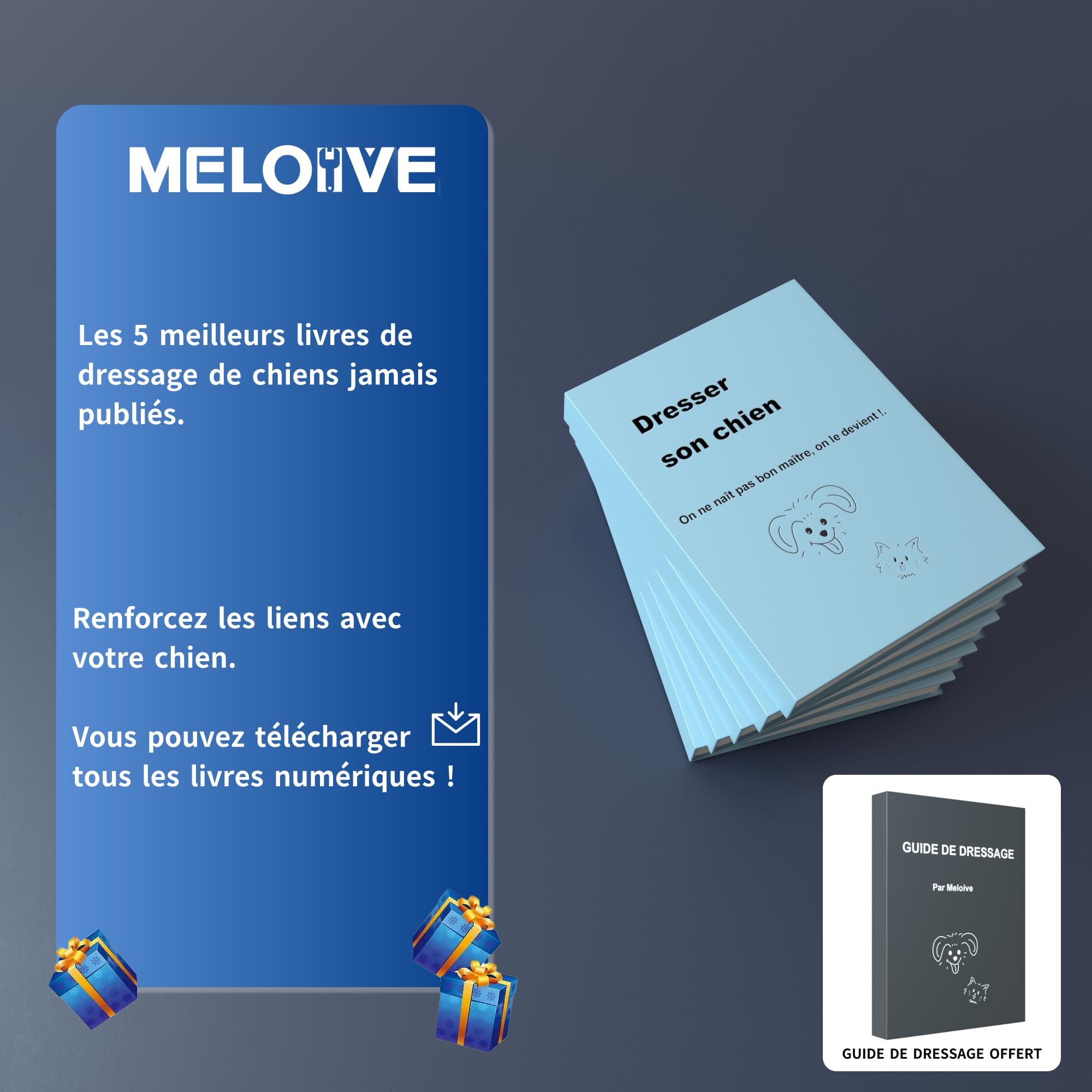 Meloive Collier de Dressage pour Chien,Portée de 3000 Mètres,3 Modes Vibration/Choc Électrique/Son avec Verrouillage de Sécurité,Collier Rechargeable pour Gros Petit Chien