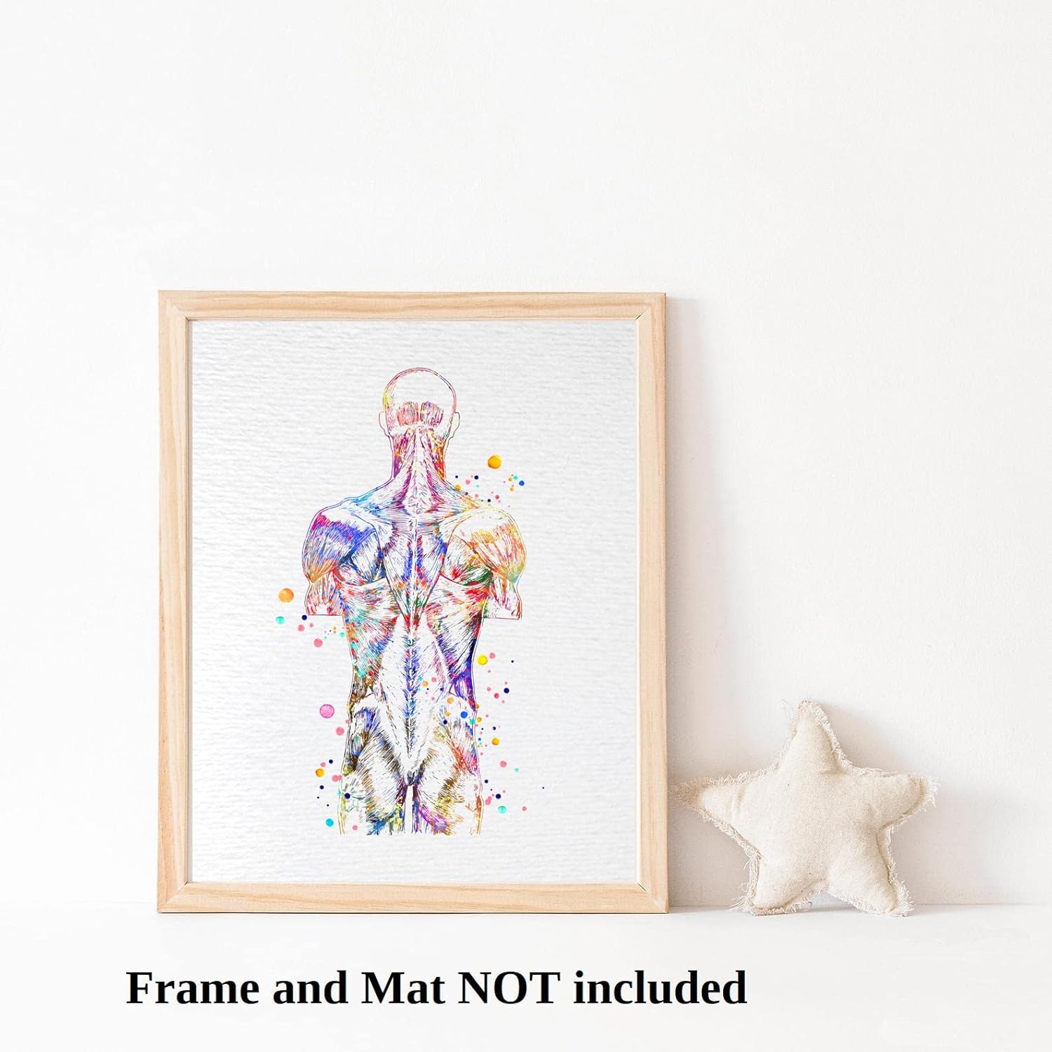 Dignovel Studios 13X19 Unframed Back Muscle Human Anatomy Watercolor Art Print Poster Medical Science Orthopedic Surgery Skeleton Chiropractor Clinic Office Wall Décor DN737