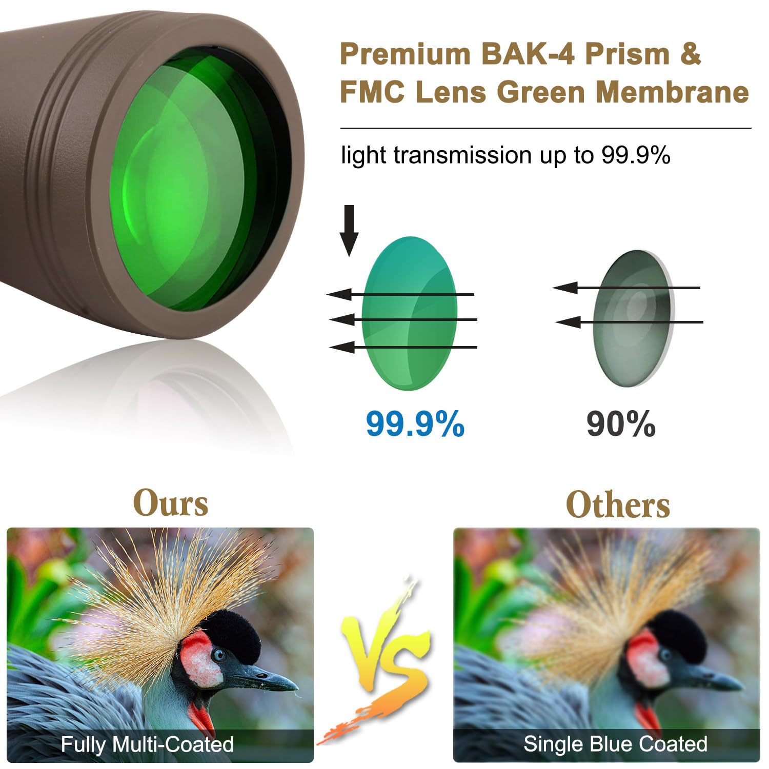 Jumelles haute puissance 20 x 50 pour adultes avec adaptateur smartphone, HD professionnel/quotidien, étanches - Jumelles compactes pour observation des oiseaux, randonnée, concert, voyage