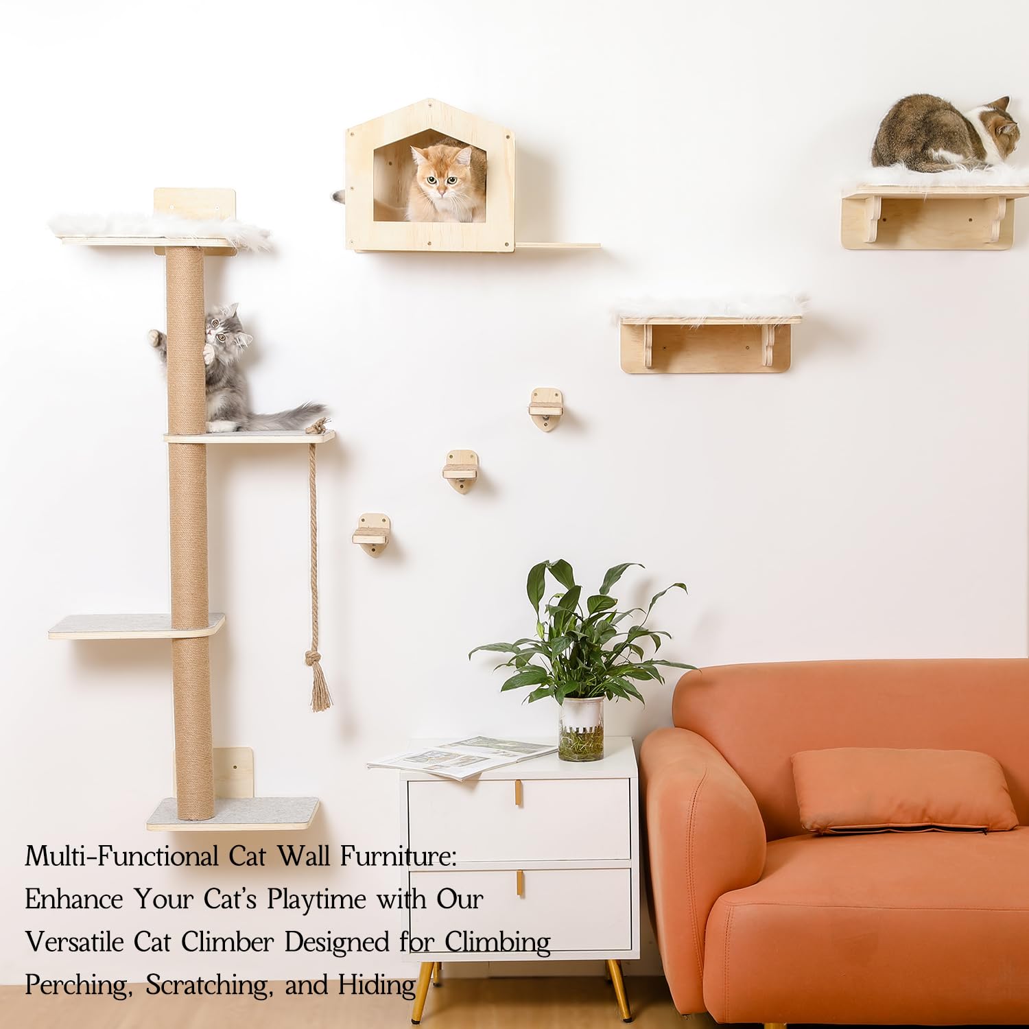 Katzen-Wandregale, Holz, Wandmontage, Katzenmöbel mit 4 Ebenen, 1 Katzenwandhaus, 2 Katzen-Sitzstangen und 3 Wandstufen, Kletterkatzenregale für Wand, große Katzen