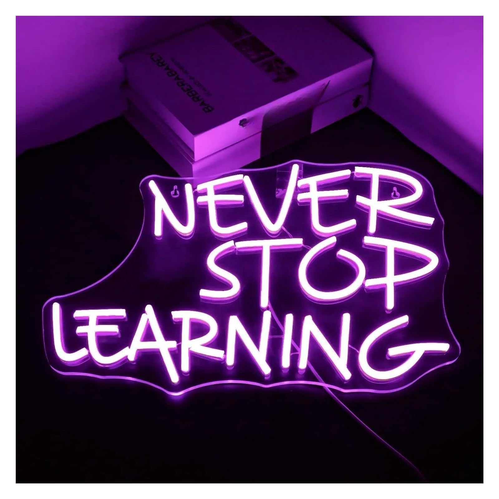LEMST Sign Lamp Never Stop Learning Neon Light, Suitable for Study, Office, School, Training Institution and Other Places 28.5x42cm