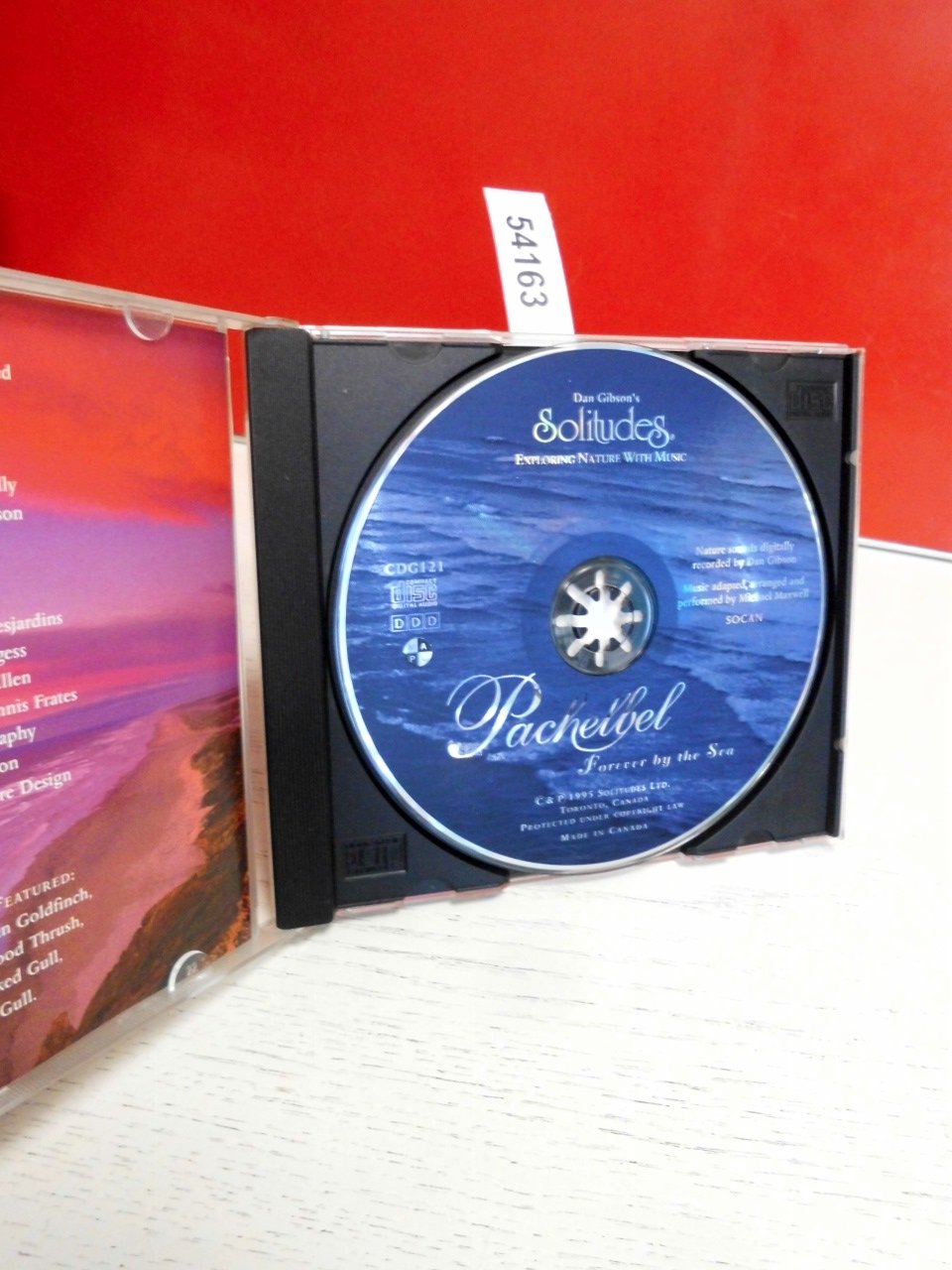 Pachelbel Forever