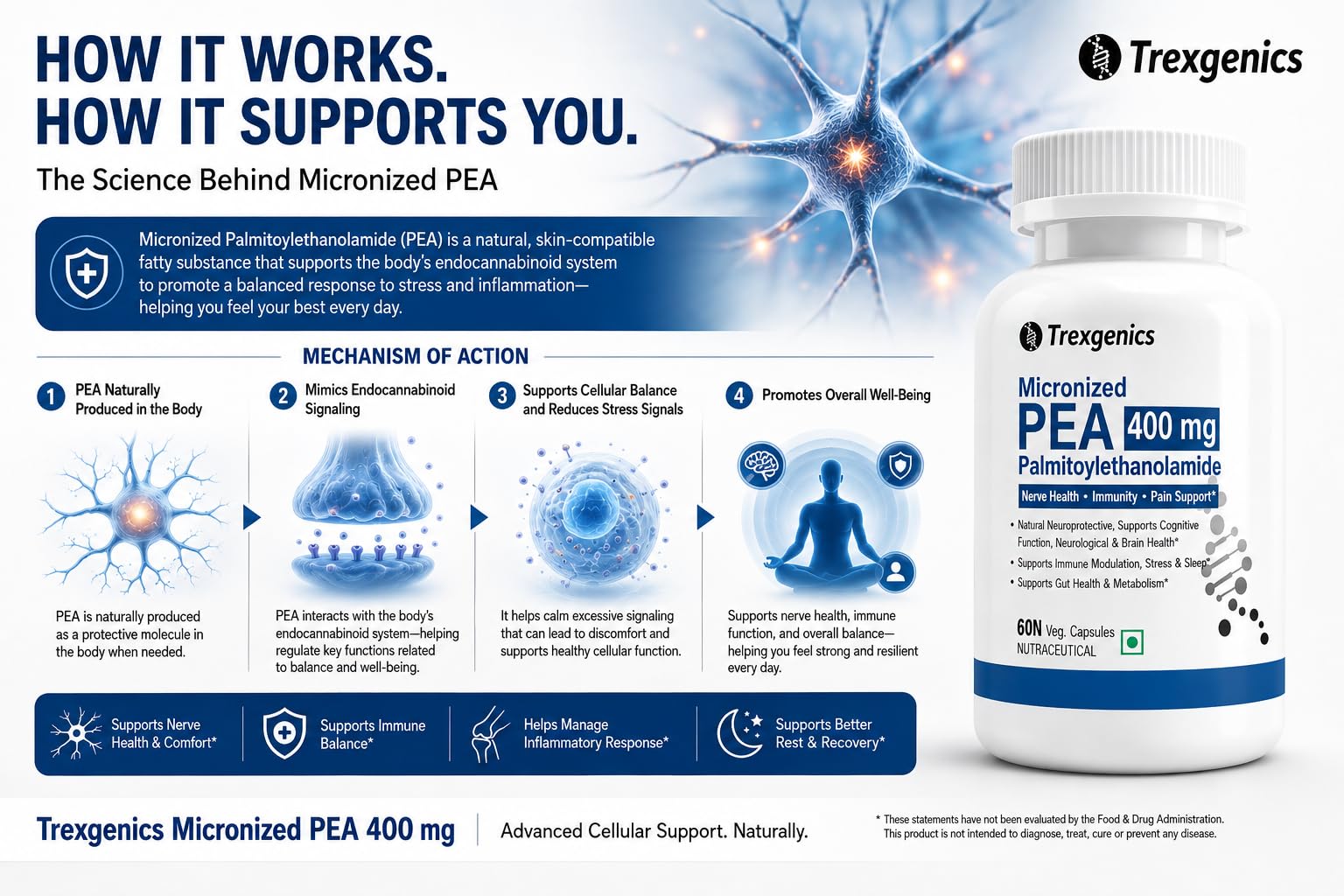 Trexgenics PALMITOYLETHANOLAMIDE (PEA) MICRONIZED 400 mg, Ultra Pure & Stable, Nerve Health, Immune System Modulation, Metabolic Health, Sleep (60 Veg Capsules) — Amazon image 5