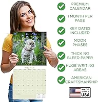 Vista 282 de Razas de Perros 2017