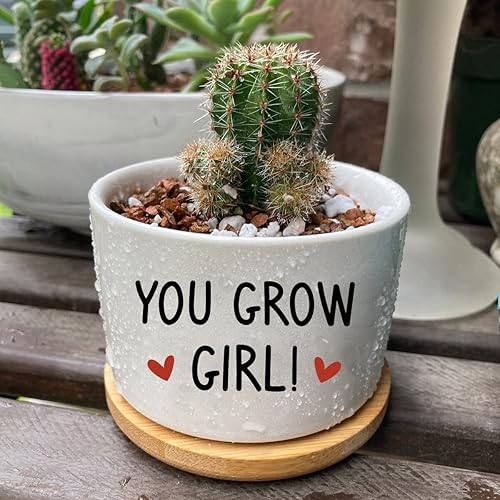 Miniatura 2 de You Grow Girl - Maceta pequeña de cerámica blanca grabada de aloe y cactus, maceta de 3.5 pulgadas con bandeja de bambú para el hogar, oficina,