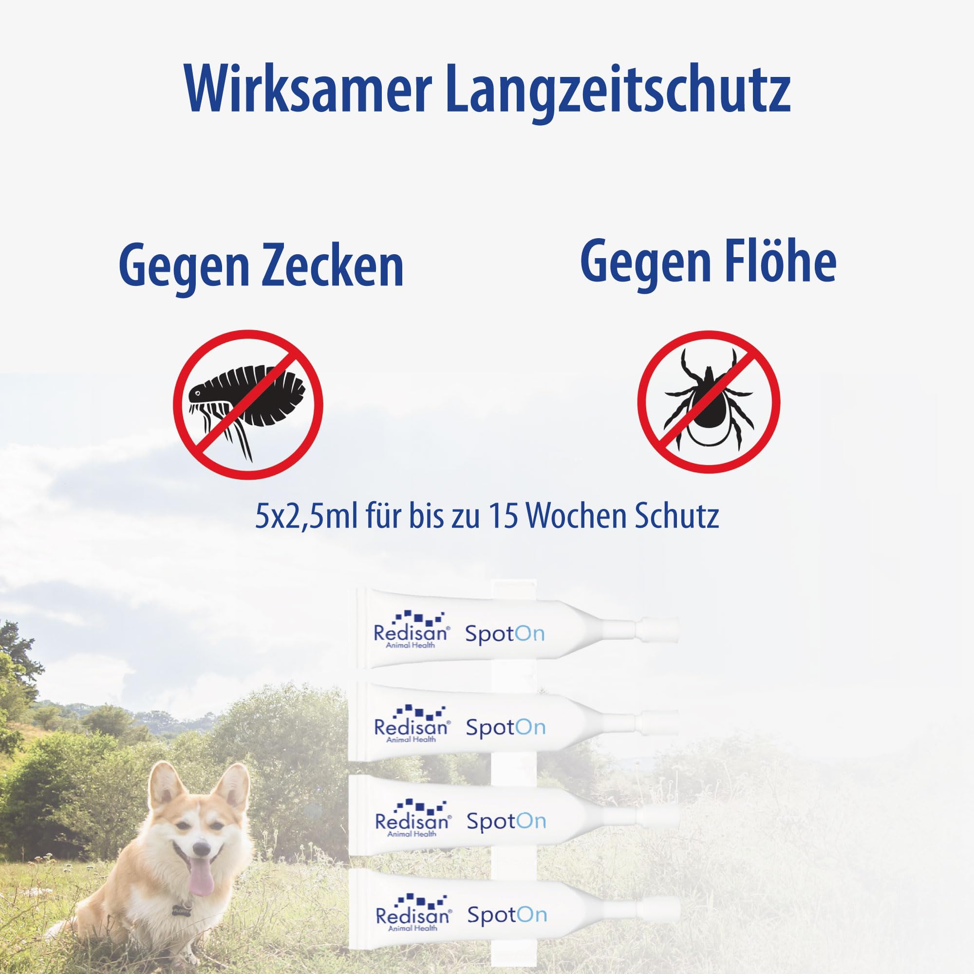 Spot on Hund I Pflanzenbasiertes Zeckenmittel OHNE CHEMIE I Effektiver Schutz vor Zecken, Flöhen und Insekten I Zeckenschutz Hund ohne Nebenwirkung I Bis zu 15 Wochen Schutz I MADE IN GERMANY
