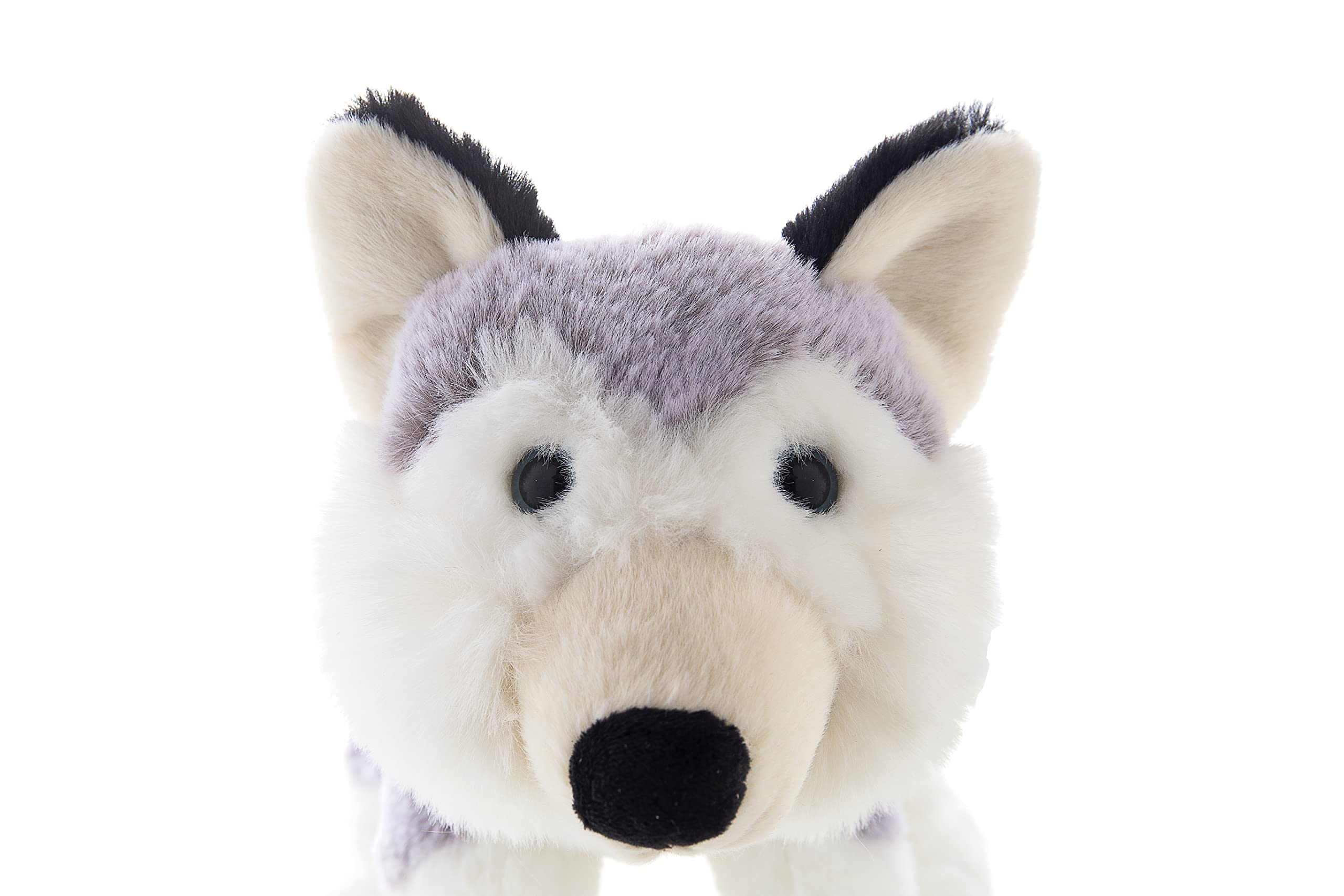 Amazon.com: DILLY DUDU Husky Puppy Dog Stuffed Animal Plush Toy 10
