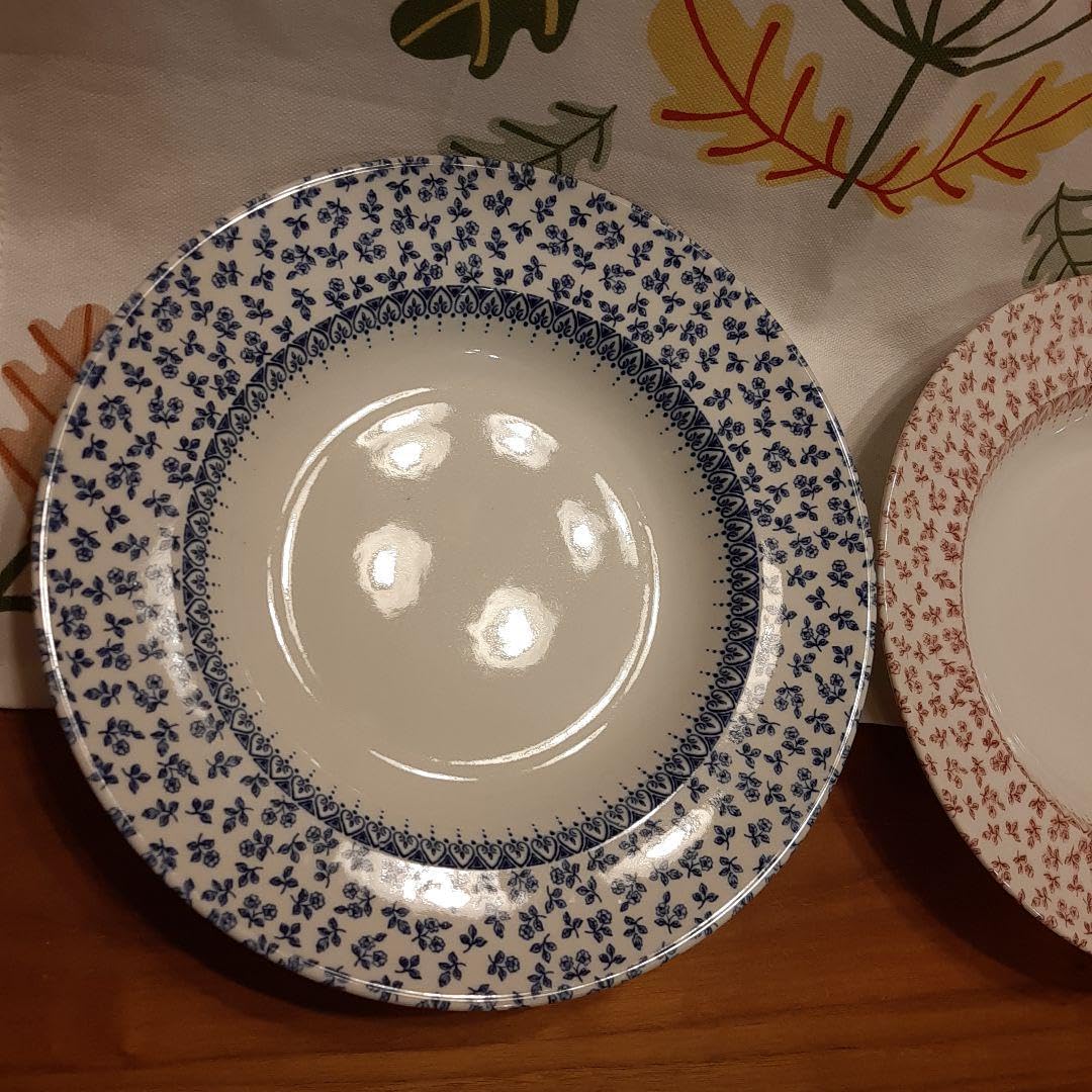 421）未使用WOOD&SONS プレート/パスター 皿 10枚箱付 421）未使用WOOD&SONS プレート/パスター 皿 10枚箱付 - メルカリ