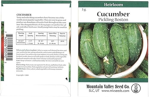 Semillas de pepino para plantar, pepinos para encurtir Boston, 0.11 onzas, más de 90 semillas, sin OMG, semillas de plantas de pepino tradicionales