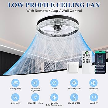 Amazon.com: kejector Low Profile Ceiling Fan with Light,20