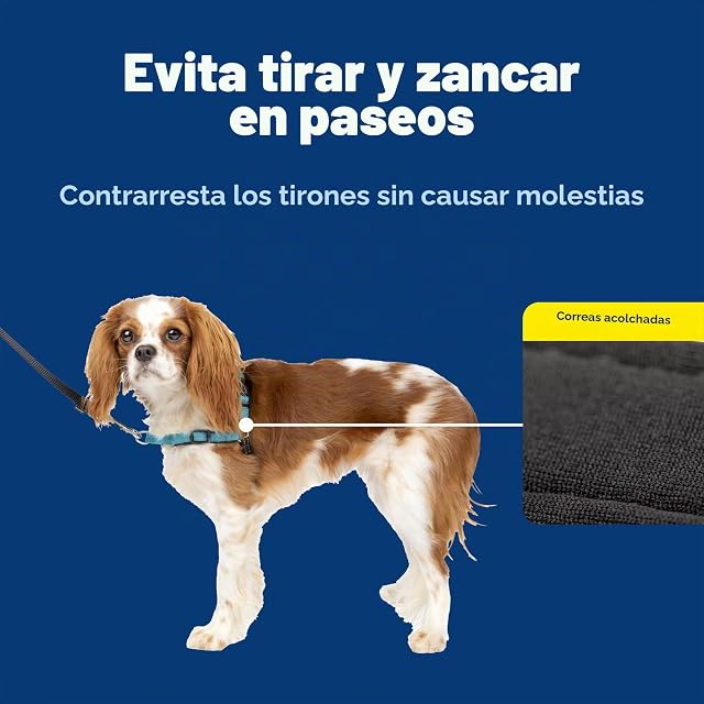 Foto 4 de 8 de PetSafe Easy Walk - Arnés de Lujo para Perro, sin tirones, Entrenamiento con Correa y arnés, Evita…