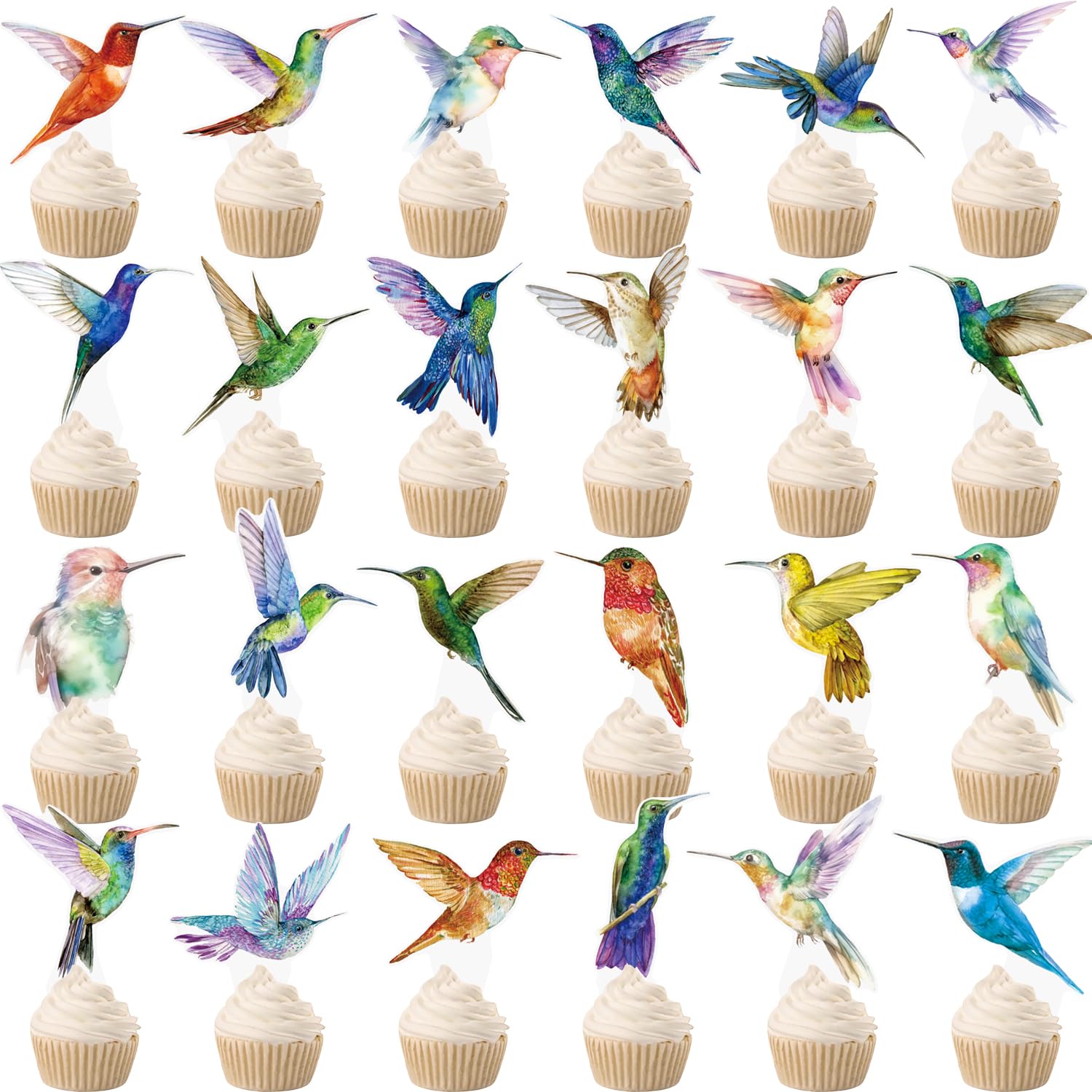 48pcs Hummingbird Cupcake Toppers - Tropical Bird Decorations for Summer & Baby Showers