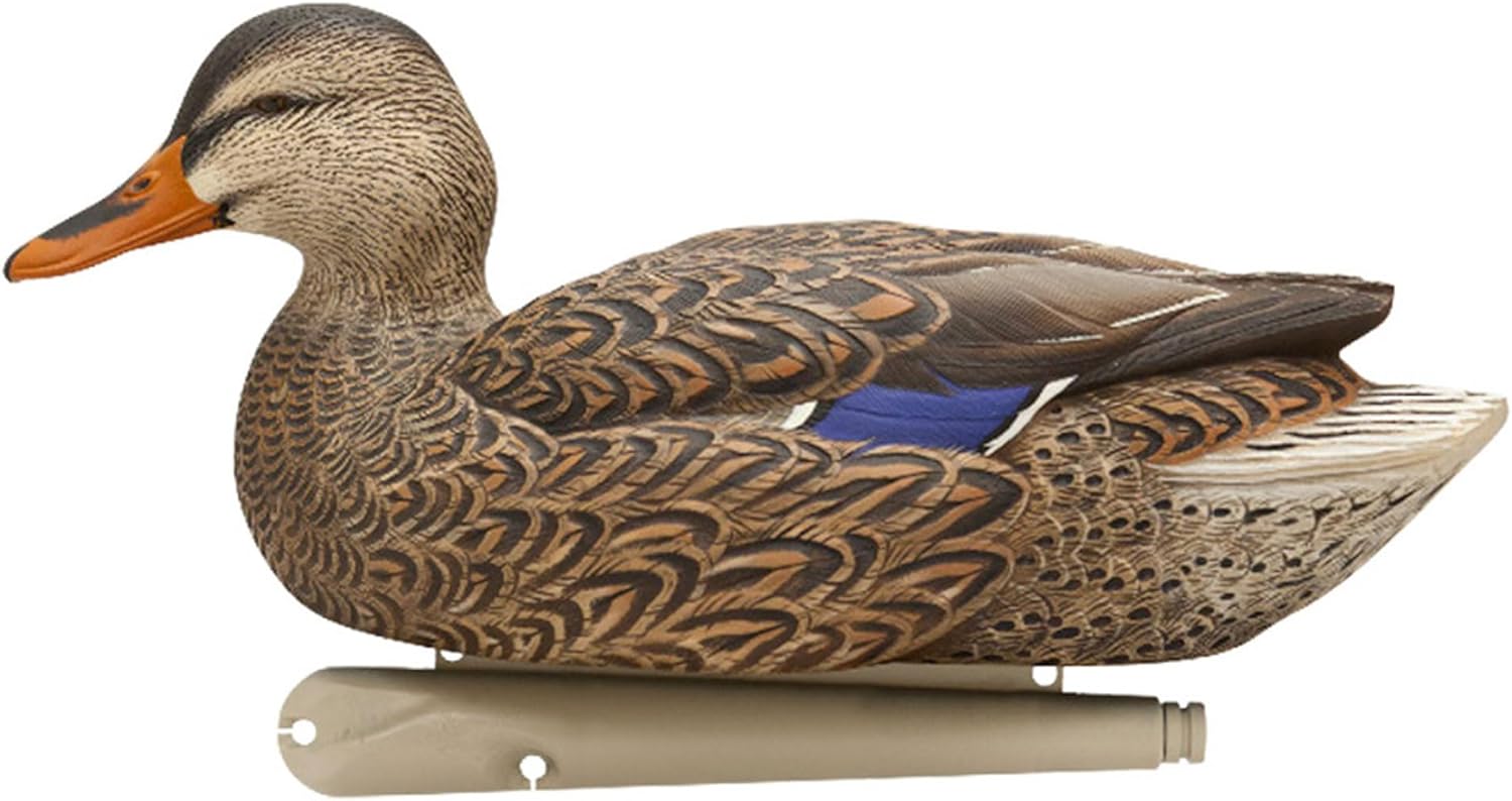 Avian-X Topflight Open Water Duck Durable Realistic Hunting Floating Mallard Decoys, Pack of 6, AVX8060