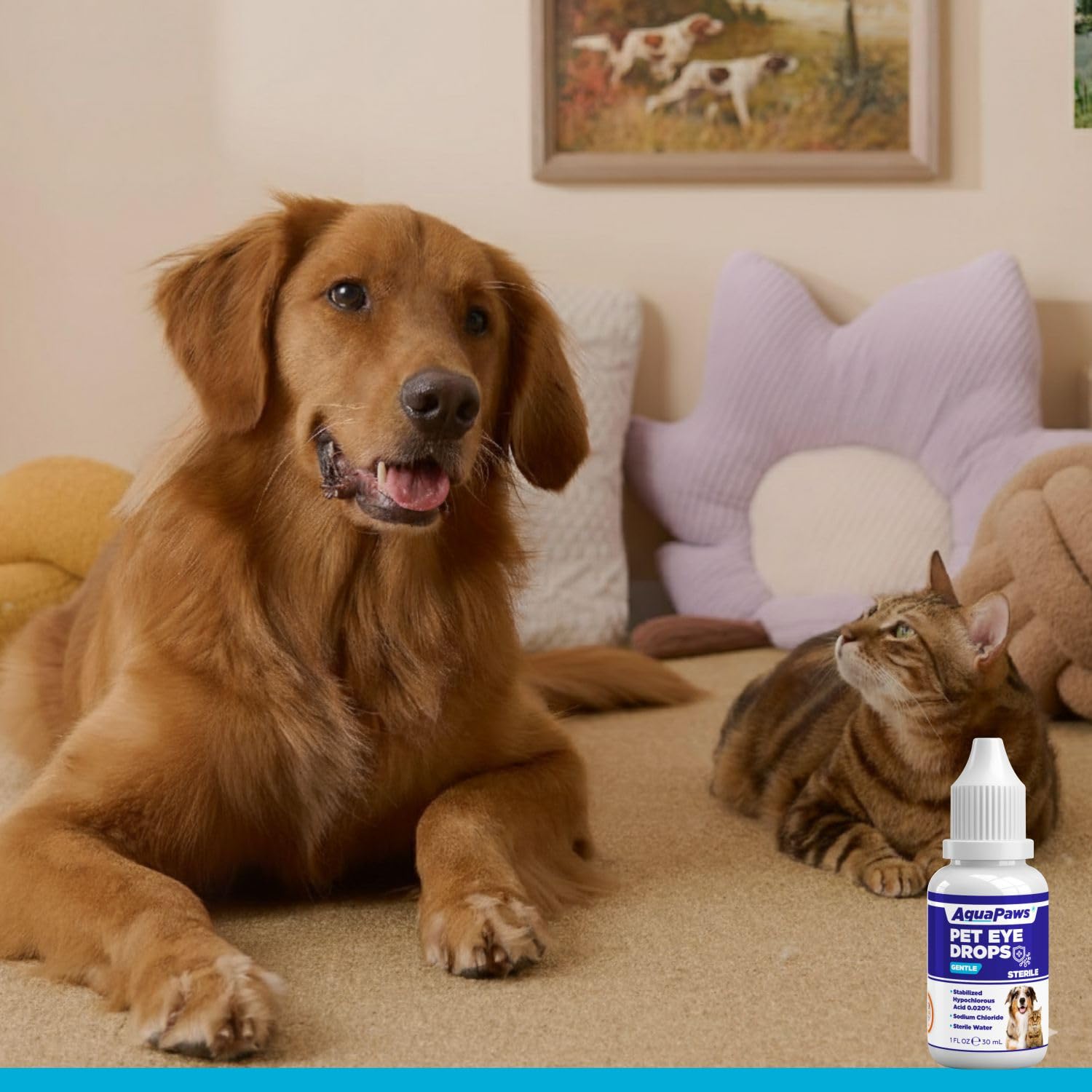 Dog Eye Drops and cat Eye Drops, pet Eye Drop,Relieve Dry Eyes Pink Eyes, Pet Tear Stain Cleaner Horses (0.98 Fl Oz) — Amazon image 7