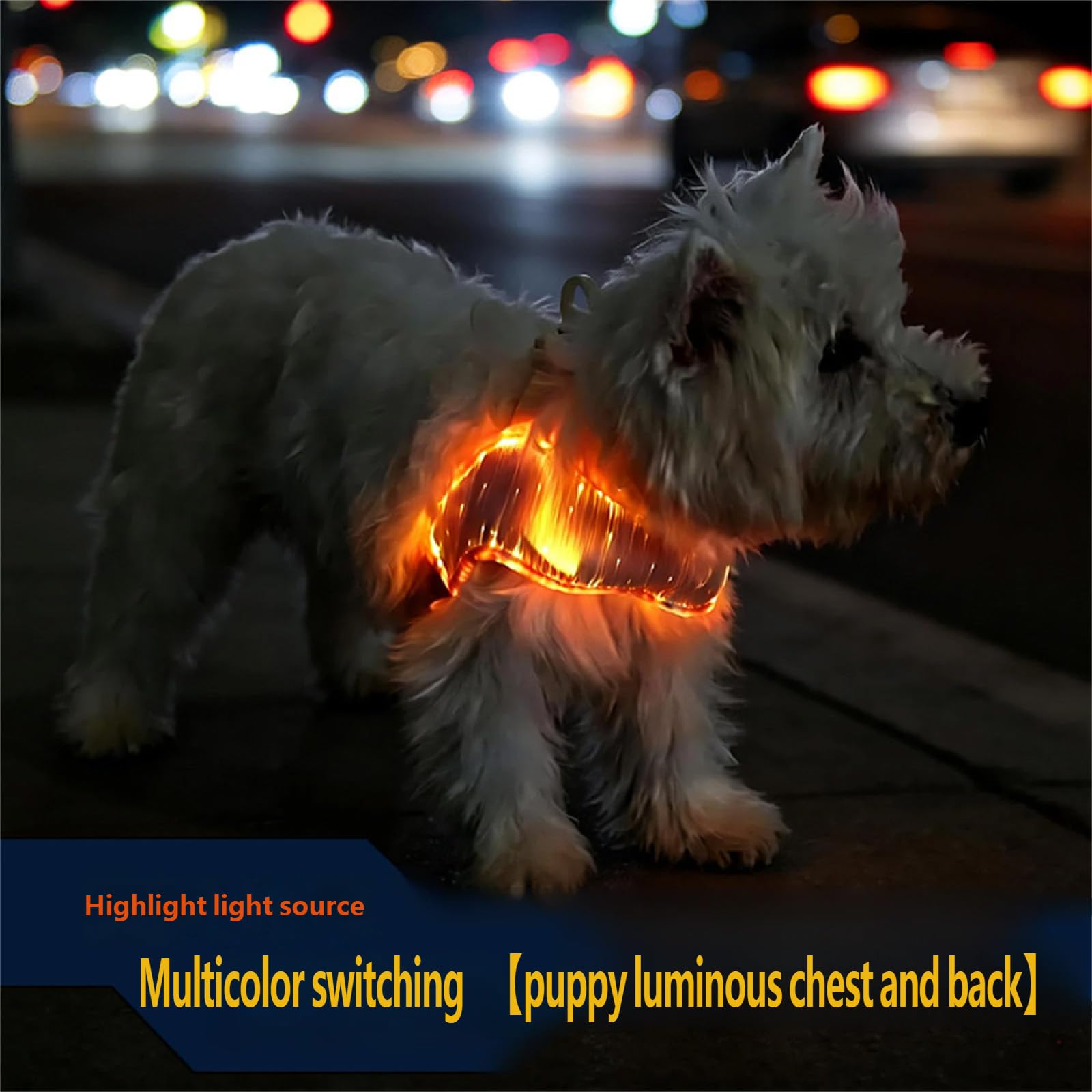 Pettorina per cani in rete a LED per passeggiate serali, gilet regolabile per animali domestici con pannello luminoso e punto di clip superiore per uso quotidiano pettorina illuminata per cani in rete