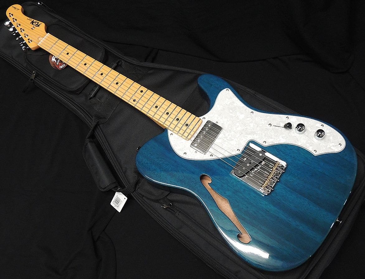 Amazon | FGN FUJIGEN NTE110MMHT TBL フジゲン Neo Classic SERIES