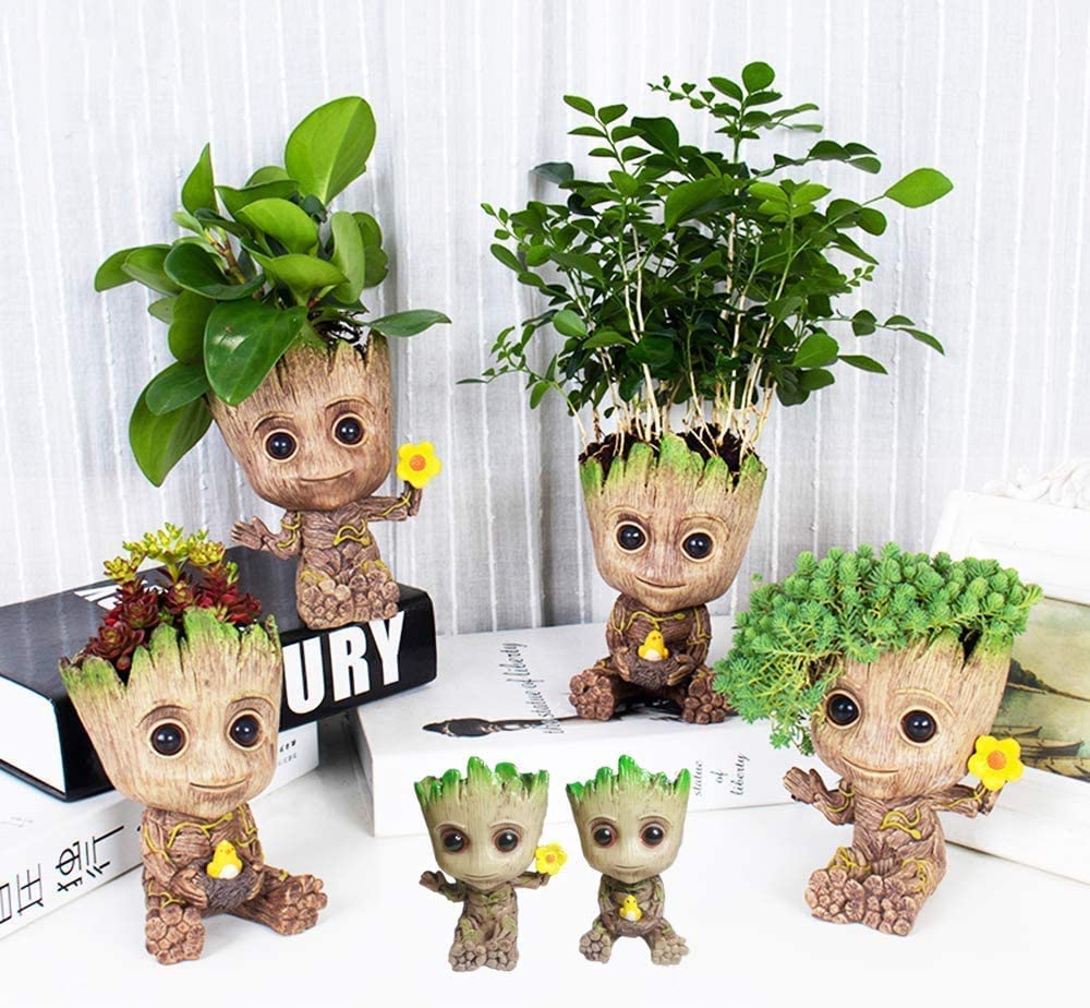 Amazon.co.jp: ベビーグルート鉢植え,鉢植え ペン立て ガーディアンズ