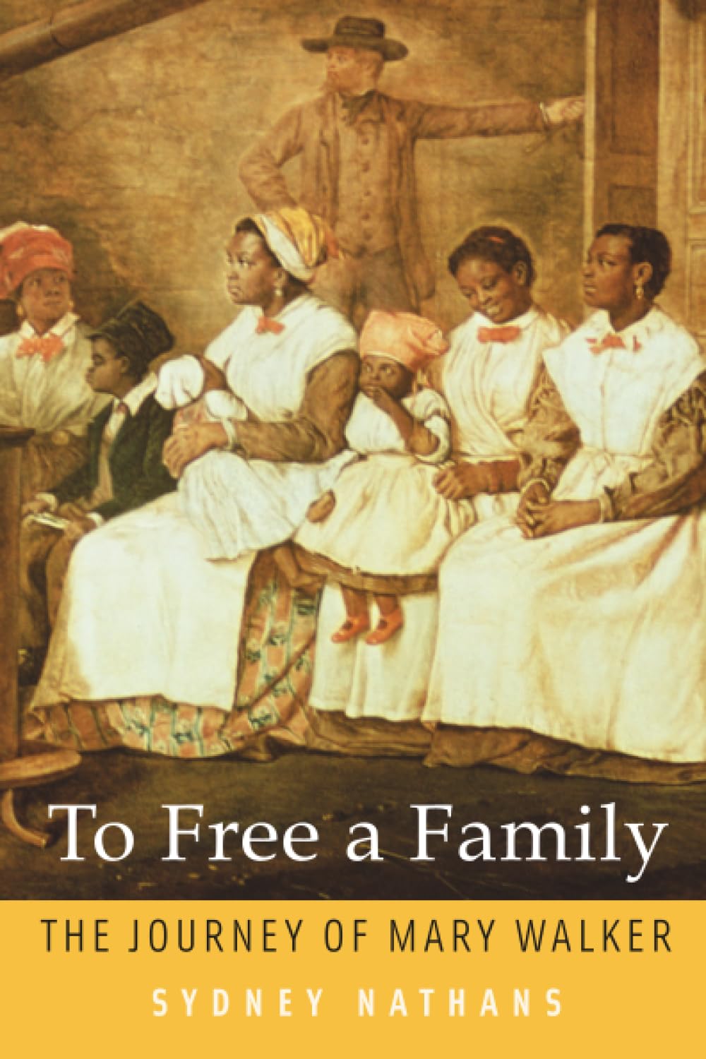 To Free a Family: The Journey of Mary Walker      Paperback – November 1, 2013