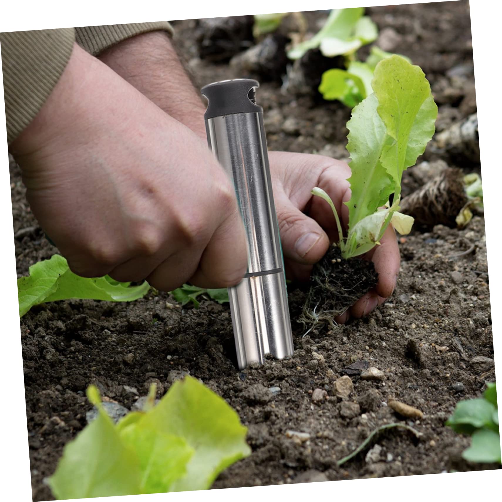 Toddmomy 5pièces Outil De Jardinage Multifonction Inoxydable Transplantation Et Pratique Pour Toutes Les Terrains Pour De Jardinage