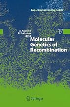 Molecular Genetics of Recombination (Topics in Current Genetics, 17)
