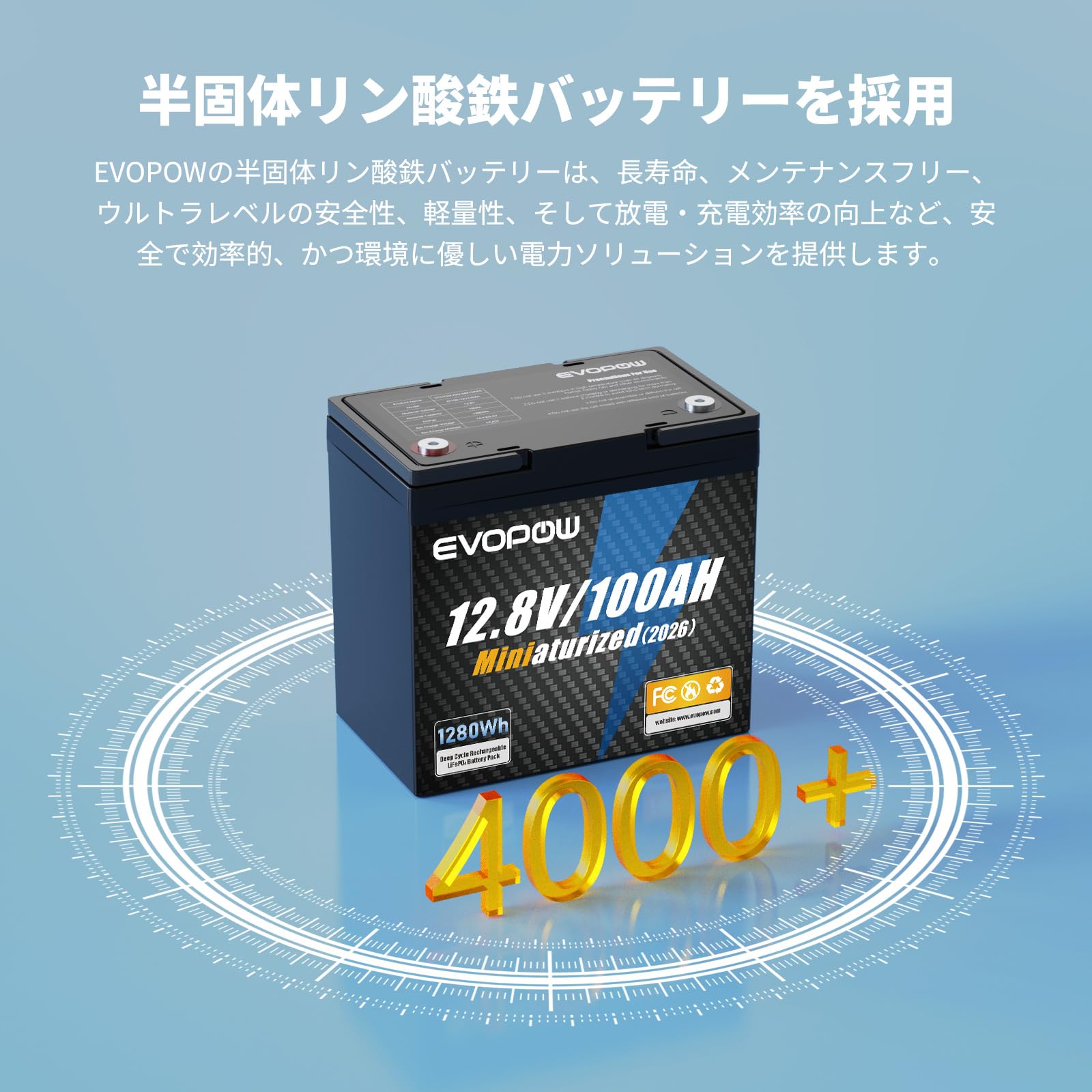 Amazon.co.jp: 12.8V 1280Wh 100Ah LiFePO4リン酸鉄リチウムイオン
