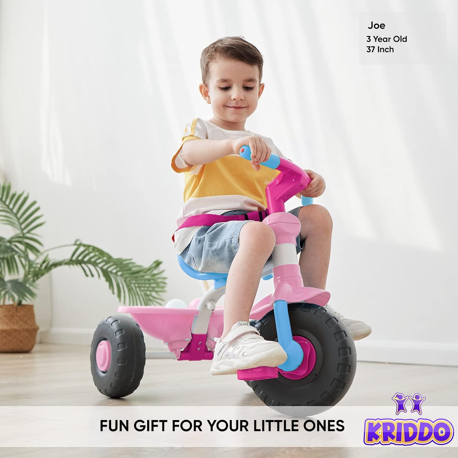 Gift Toddler Tricycle, Trikes 