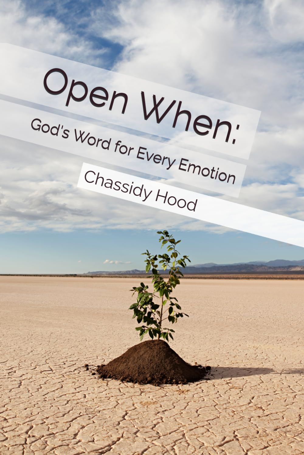 Open When: God's Word for Every Emotion