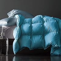 Vista 11 de Royoliving - Edredón de plumas de pato gris, tamaño Queen, para todas las estaciones, con funda 100% algodón, con relleno, con fijaciones