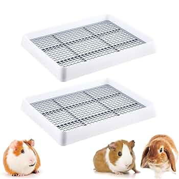 らびっとはーれんと Rabbit!（ラビット！）- Top Music Japan