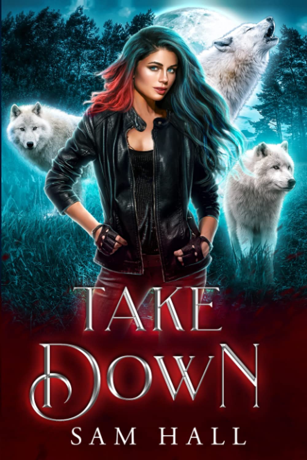 Cover of Take Down