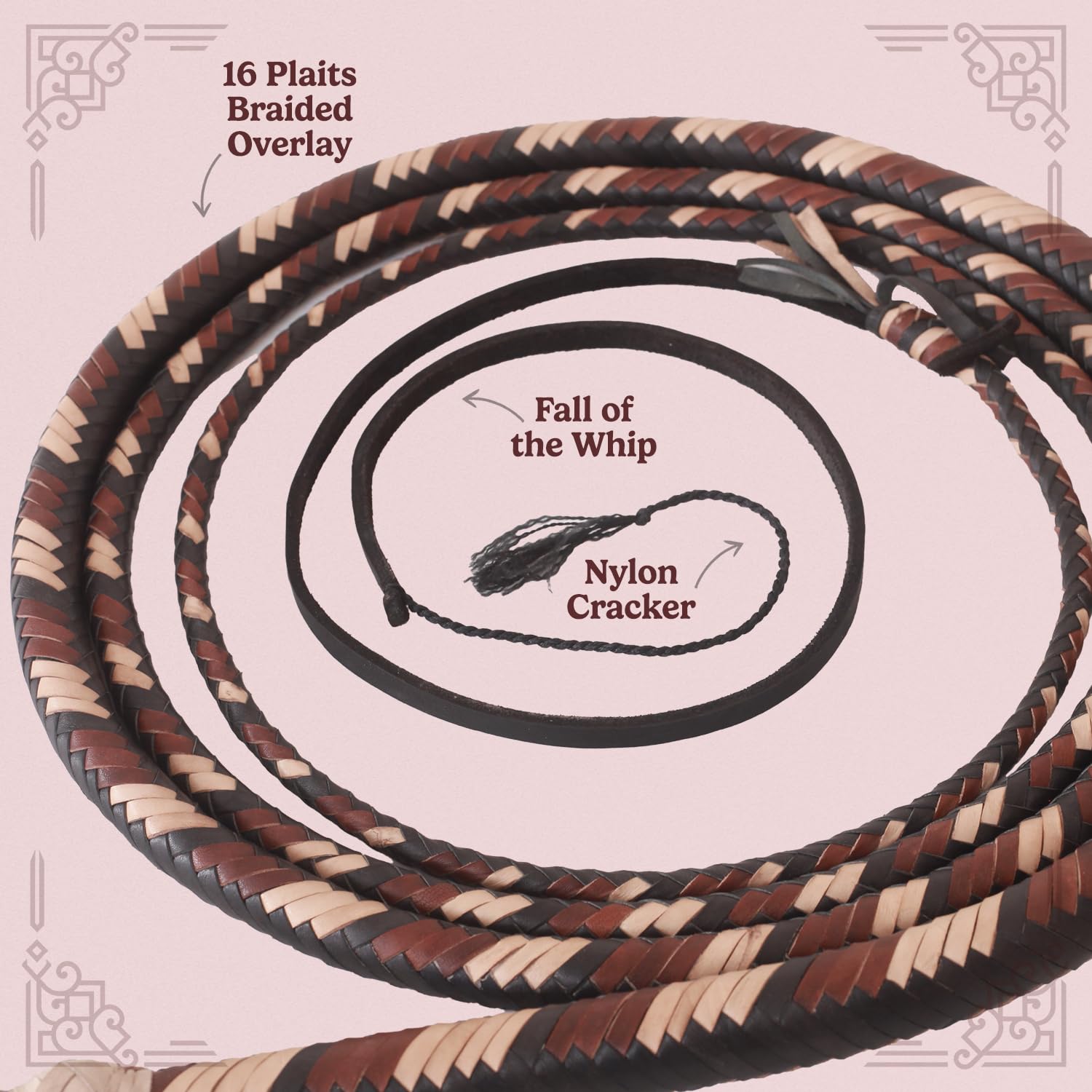 Fouet Bullwhip Débutant – Cuir De Vachette Premium, 3 Pieds, 12 Tresses, Leather Phobia