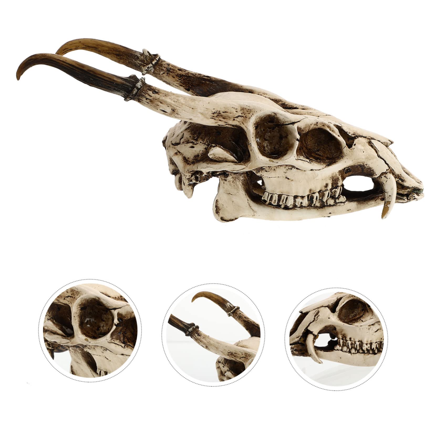 Cabilock 1 Pc Adorno De Calavera De Cabra Decoración De Cuernos De Cabra Kit De Collage De Pared Cabeza De Animal Decoración De Calavera De Oveja Ram Mesa Resina Póster Acuario