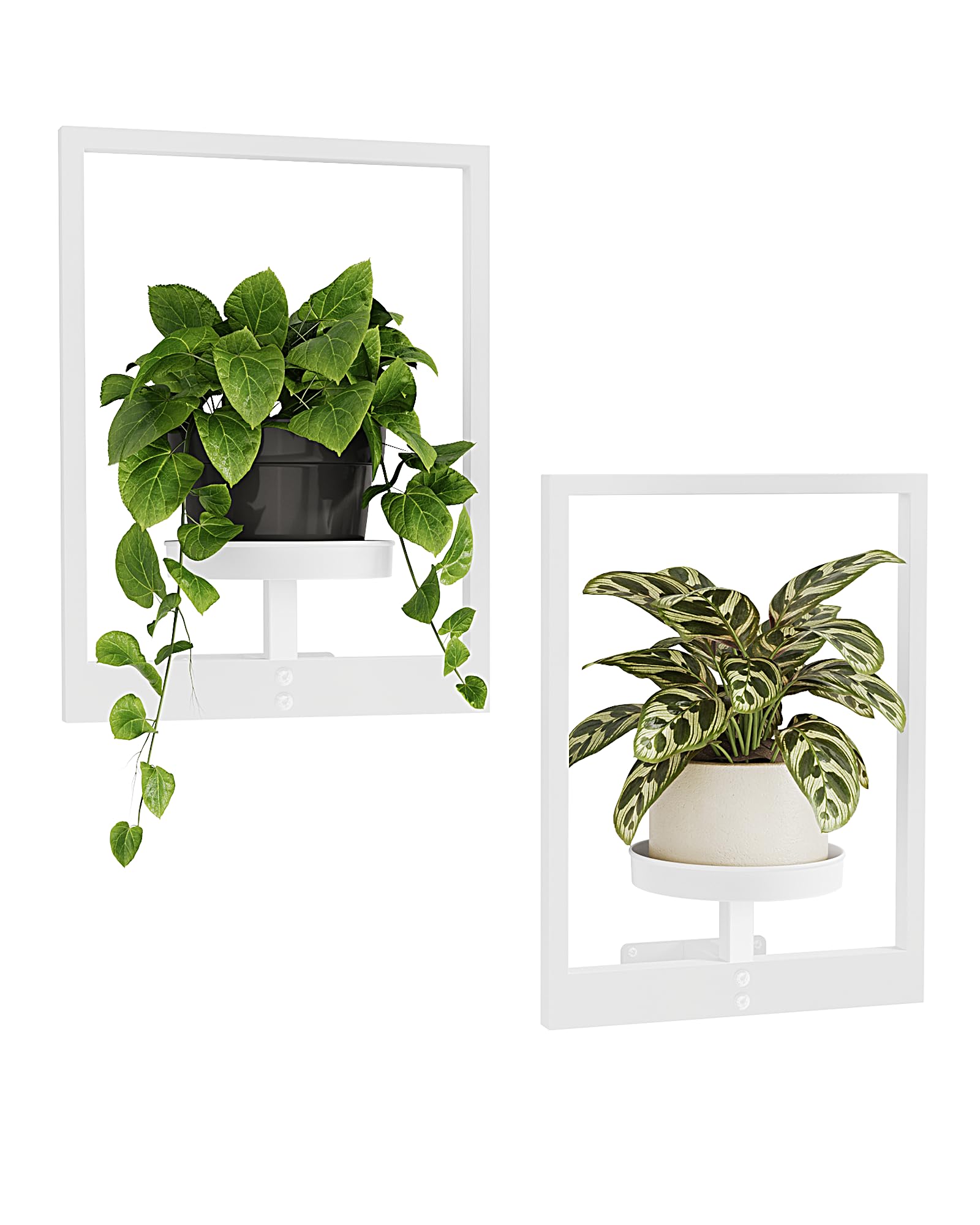 Bamworld Wand-Pflanzenaufhänger, Innenwand-Pflanzgefäße für Zimmerpflanzen, Fenster, Pflanzenregale, Wandpflanzenhalter, Pflanzenständer, Innenwanddekoration, Pflanzendekoration, Raumdekoration, Weiß