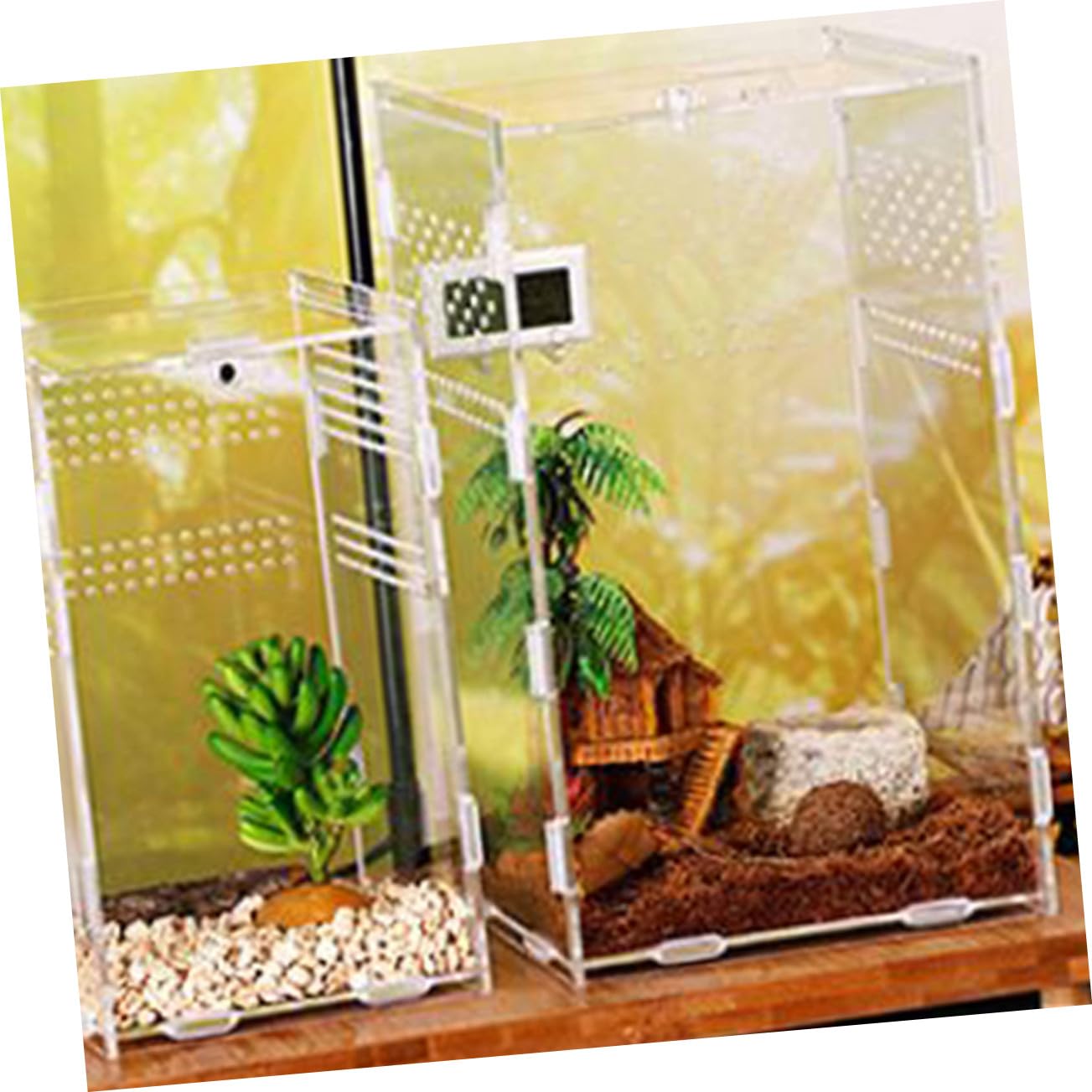 Acryl Durchsichtige Reptilien Fütterungsbox mit Konstantem Luftstrom und 360 Grad Sicht für Geckos und Grillen zur Sicheren Zucht und Haltung