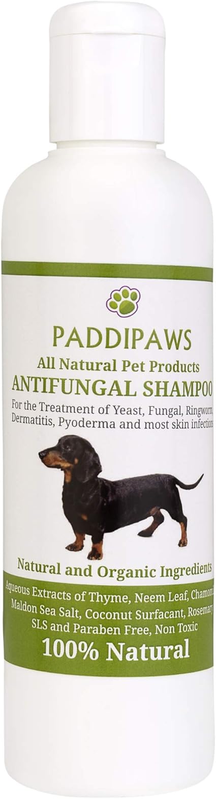 100 Natural Antifungal And Antibacterial Dog Shampoo Yeast Infections Ringworm Dermatitis Pyoderma Safe Natural Paraben And Sls Free 250ml Larger Bottle Available From The Store Amazon Co Uk Pet Supplies