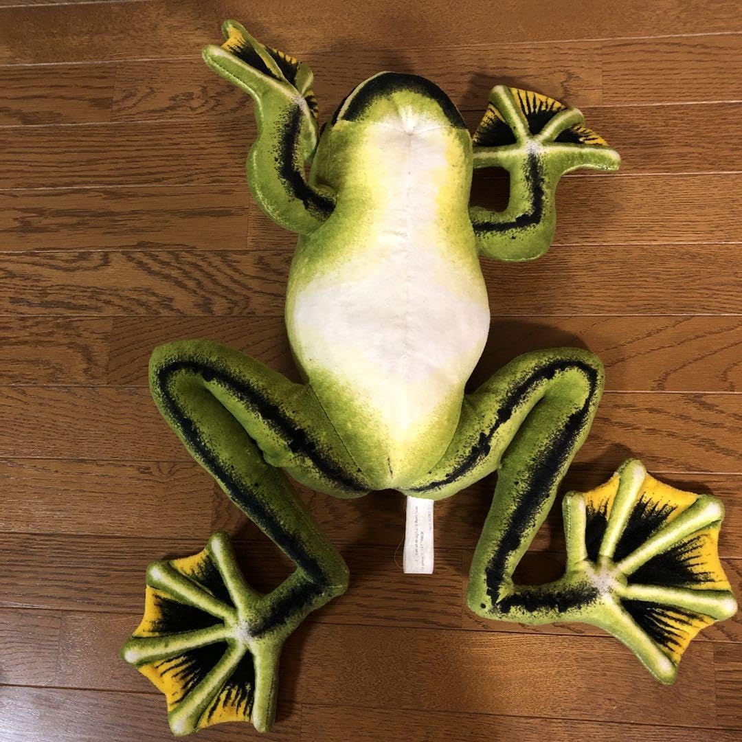 Amazon.co.jp: 週末特別 リアル BIG カエル 蛙 ぬいぐるみ : おもちゃ