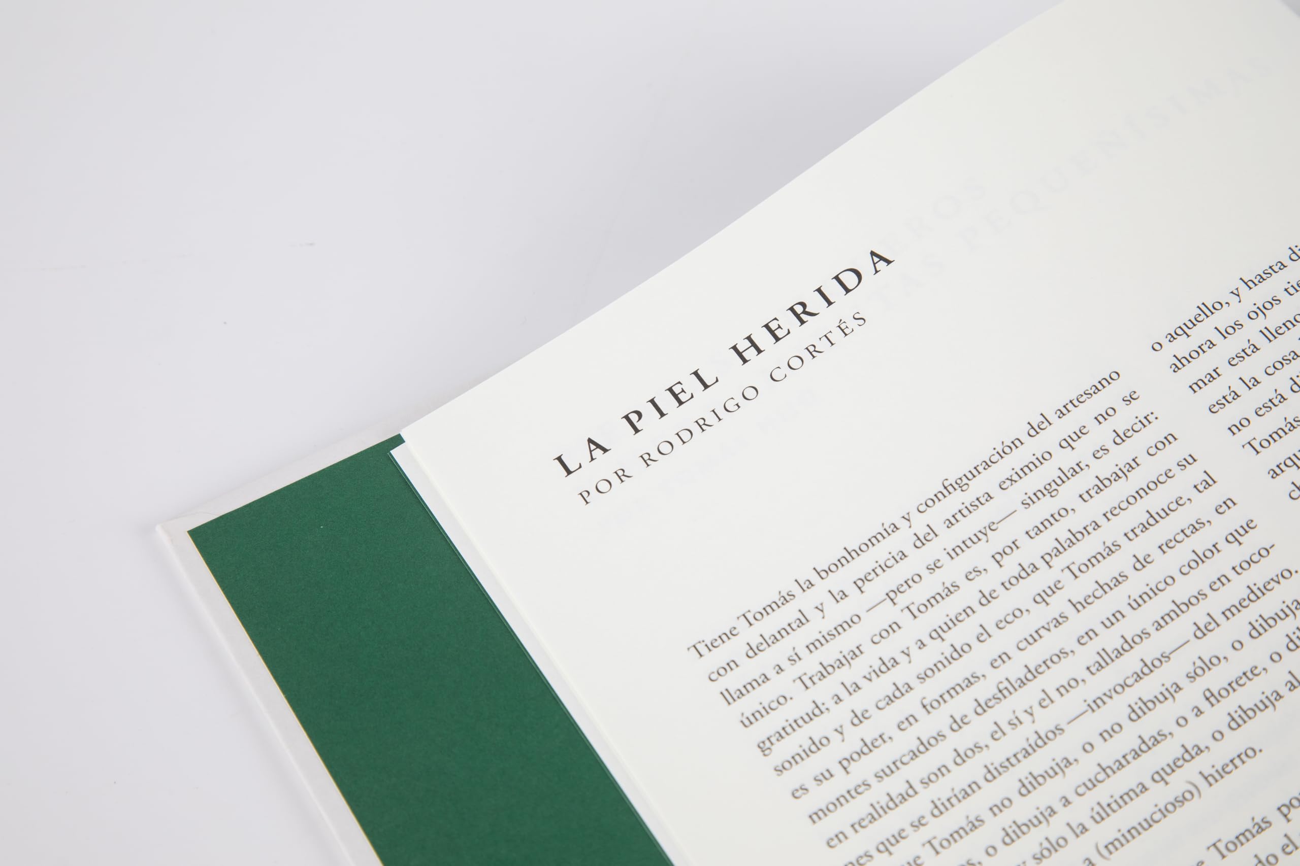 La piedra blanda (Random House)