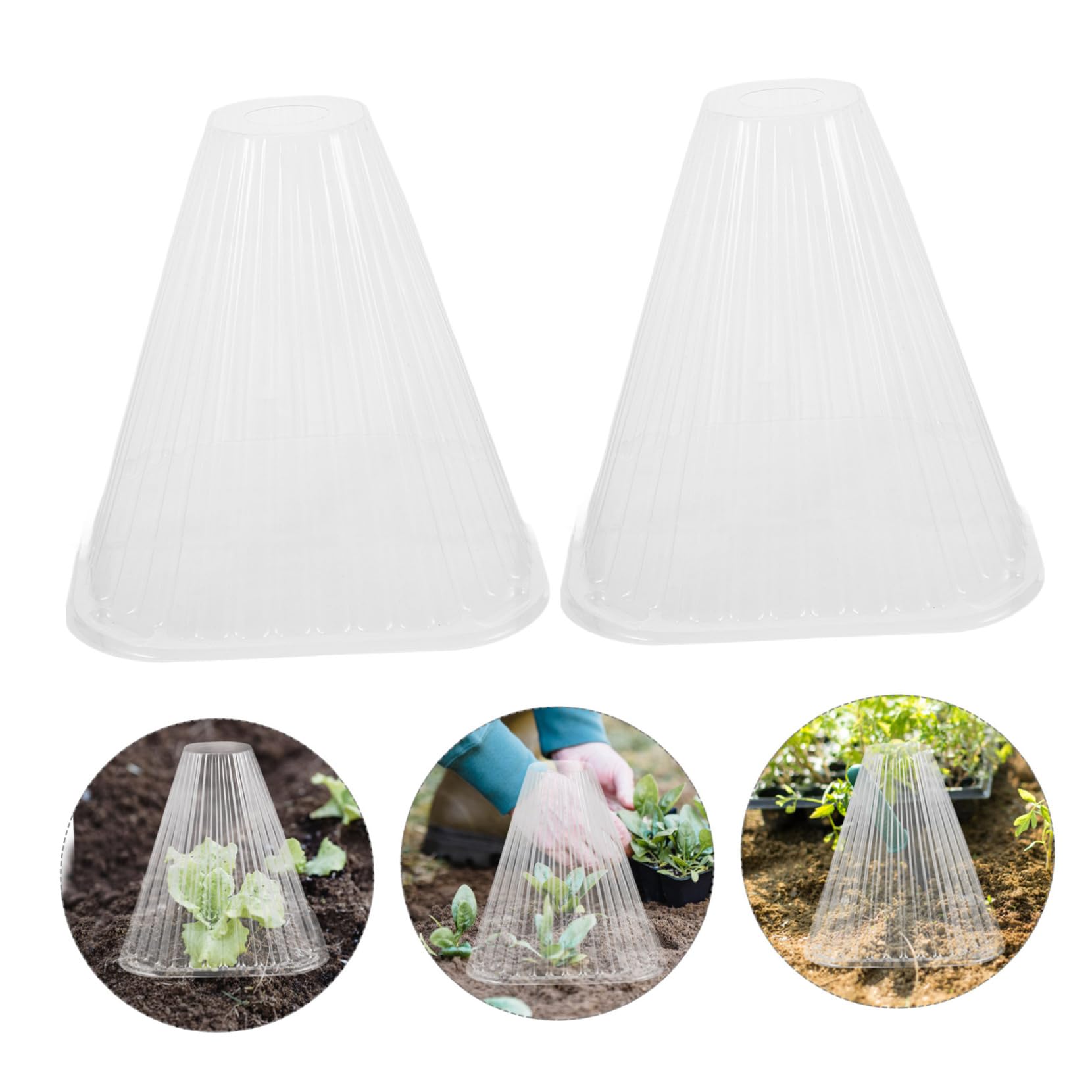 BESPORTBLE Cloche de Protection Conique pour Plantes et Légumes en Pet, 10 Pièces, Ombrage et Protection, Installation Facile pour Jardinage Intérieur et Extérieur