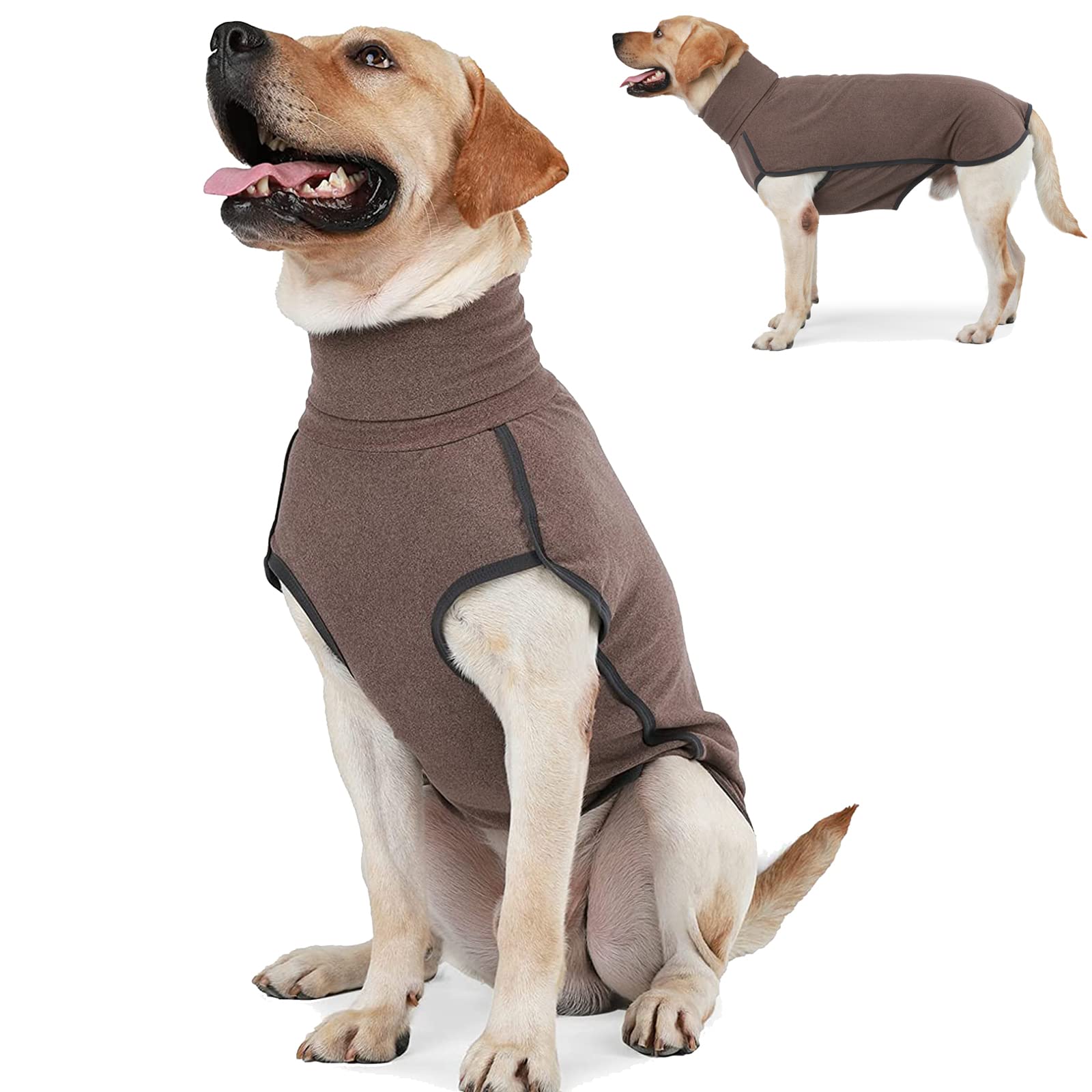 Do Sweaters Help Dogs With Anxiety