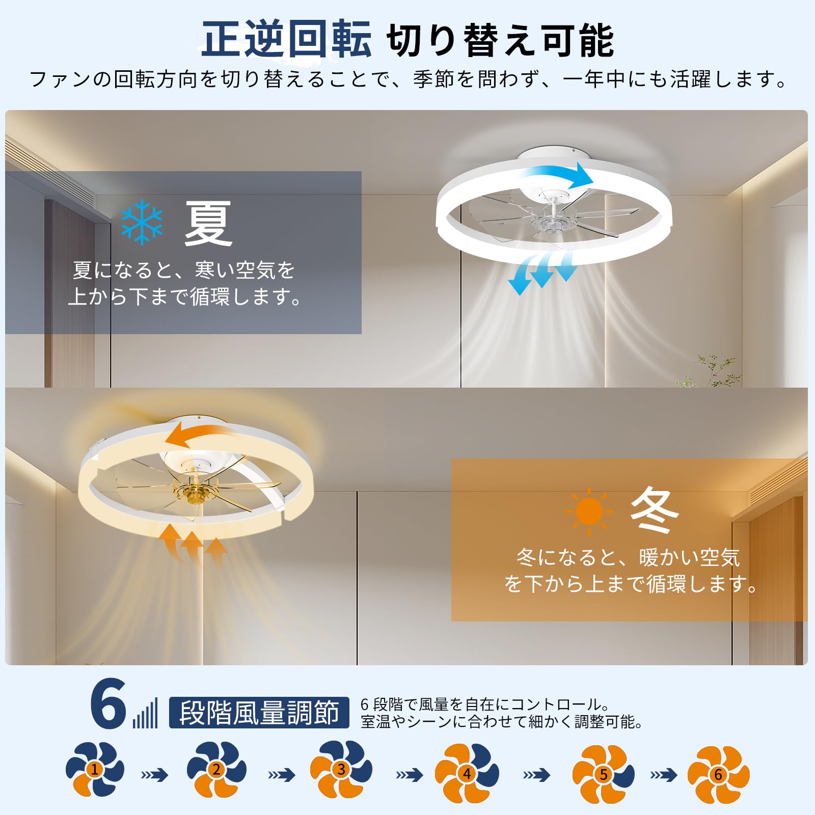 Amazon | シーリングファンライト【2026新登場10-12畳】 シーリング
