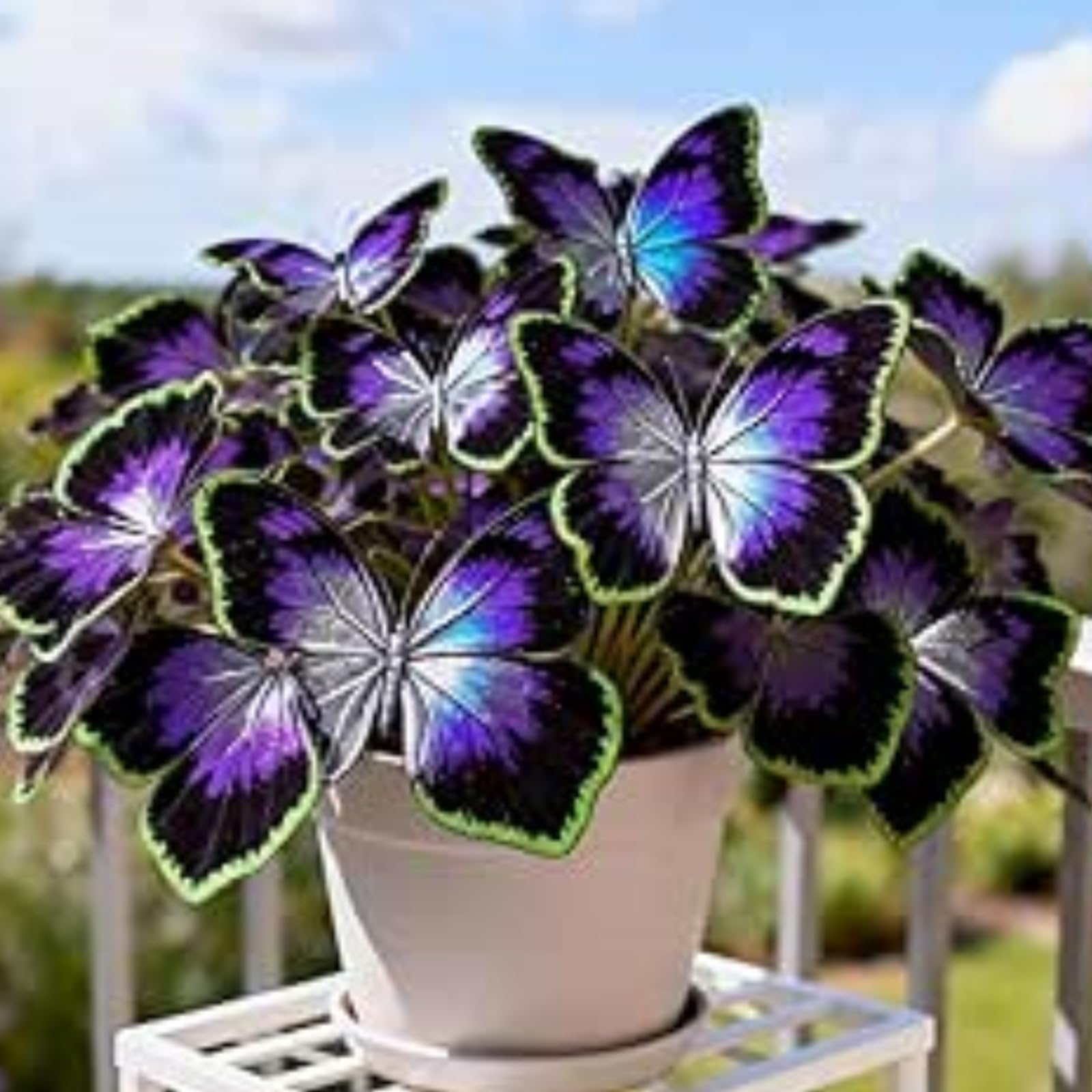 Cold-Resistant hosta bulbo,fácil de cultivar,Home Decoration-Beautiful Gift Garden-Bloom Year After Year-(Non-Artificial).-15Hosta-F