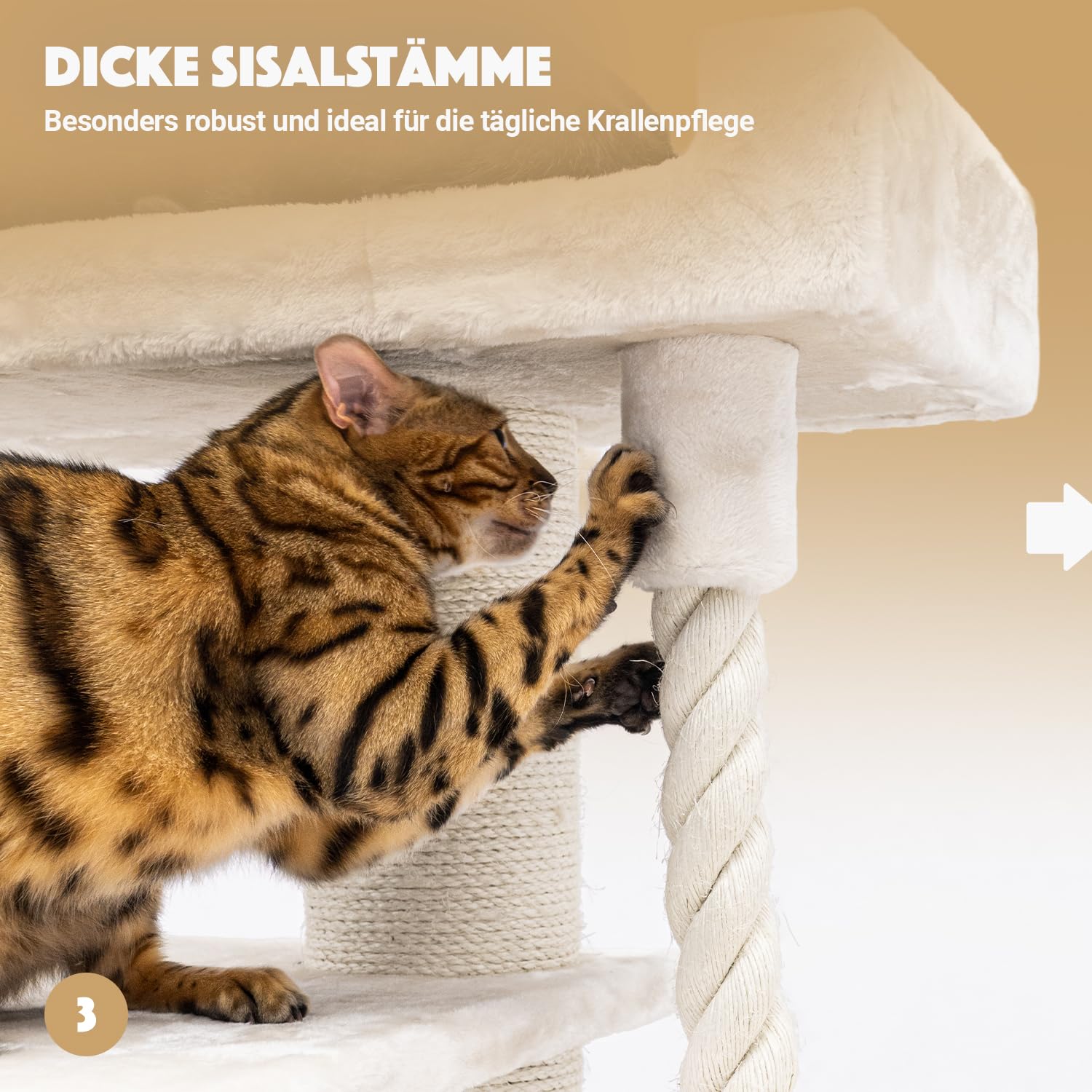 Petrebels Arbre à Chat Parklane 131 cm, Couleur Beige/Crème, Design Arbre à Chat avec Hamac