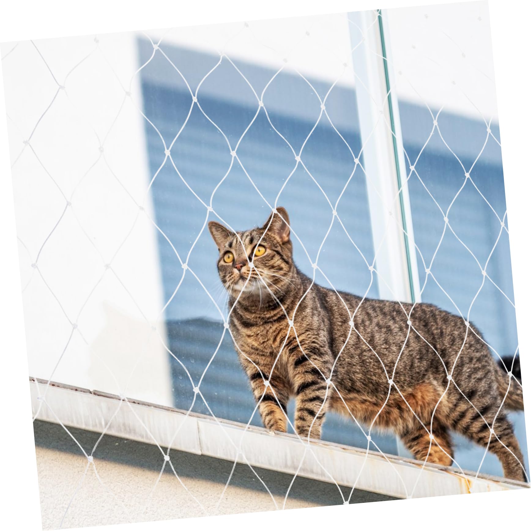 FRCOLOR Katzenschutznetz und Balkon Katze Netz ohne Bohren Nylon Zuschneidbar für Fenster Treppe