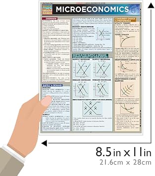 Microeconomics: QuickStudy Laminated Reference Guide