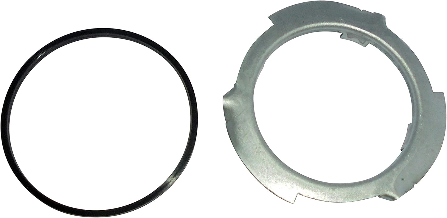 Dorman 576-118 Rear Fuel Tank Compatible with Select Ford Models