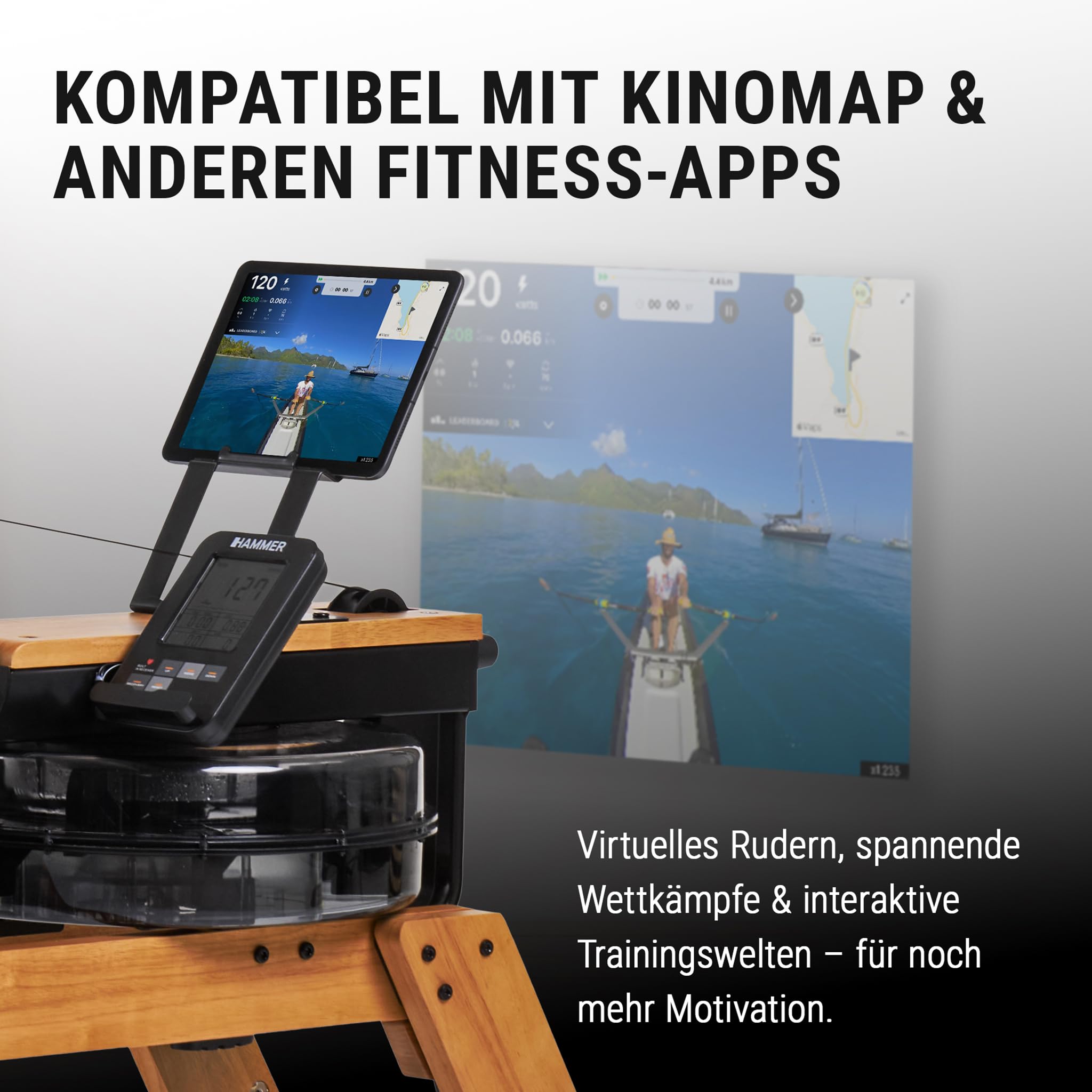 HAMMER Vogatore ad Acqua AquaFold - Vogatore pieghevole per casa in vero legno con ruote, macchina per il canottaggio con Bluetooth, computer di allenamento